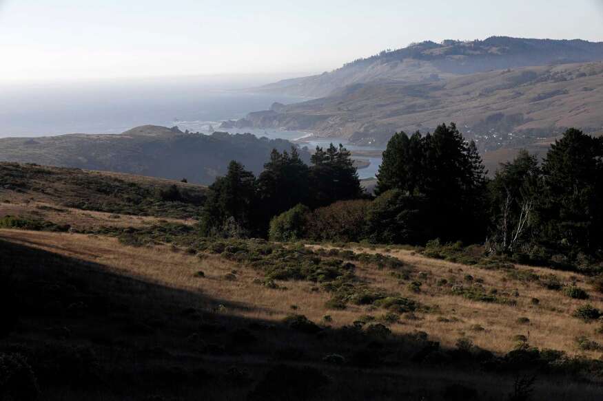 San Francisco Chronicle - Bay Area news, sports, tech, food - San Francisco  Chronicle