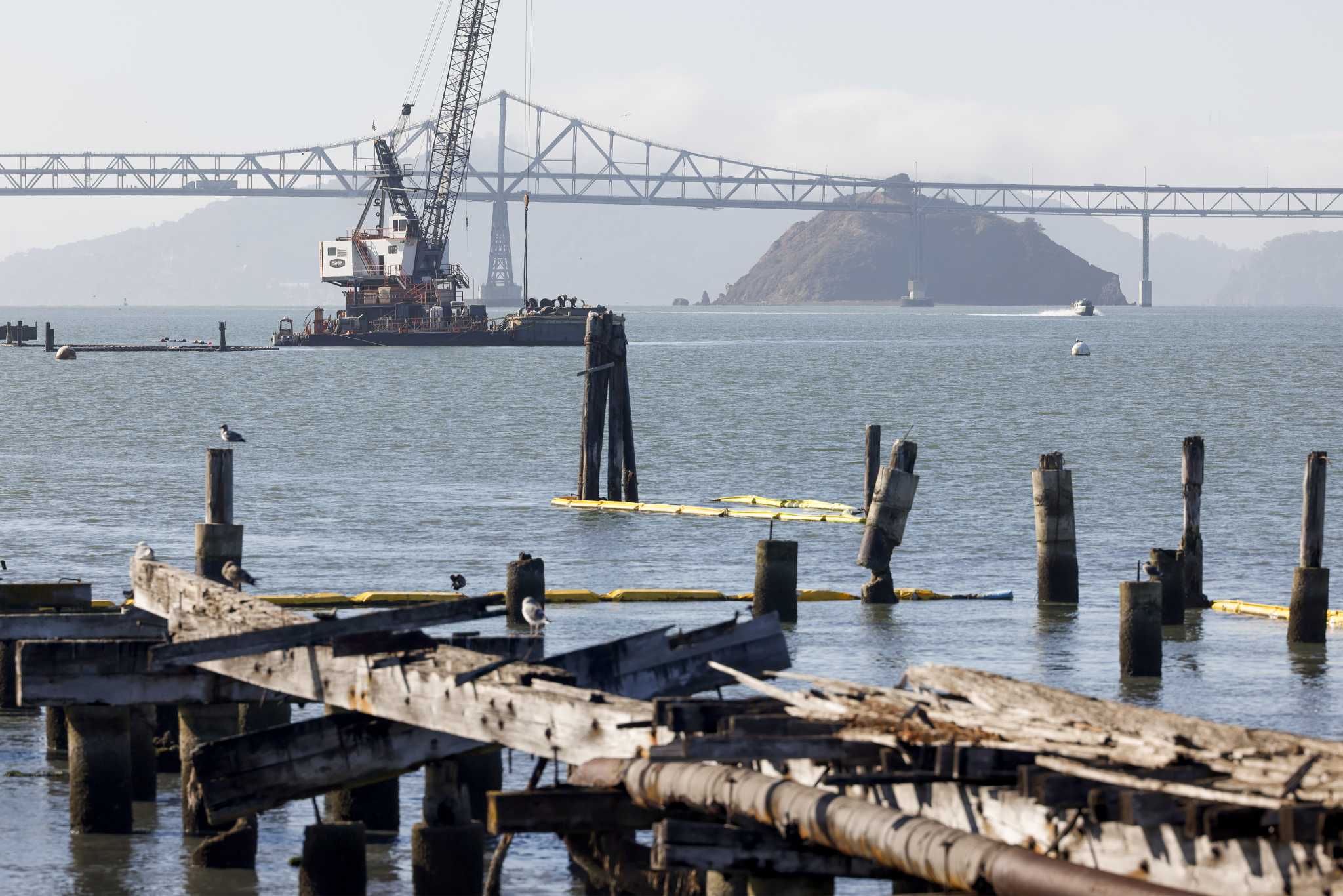 旧金山湾正在进行一场大规模的清理行动。这是其中所涉及的内容