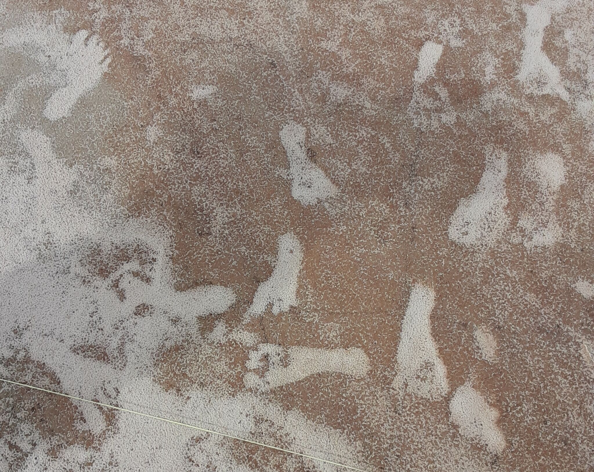 Oldest Human Footprints In The Americas