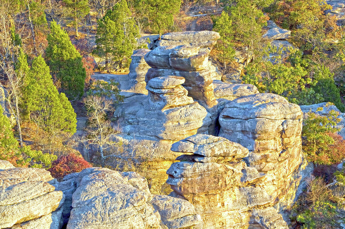 In Shawnee National Forest, a debate swirls