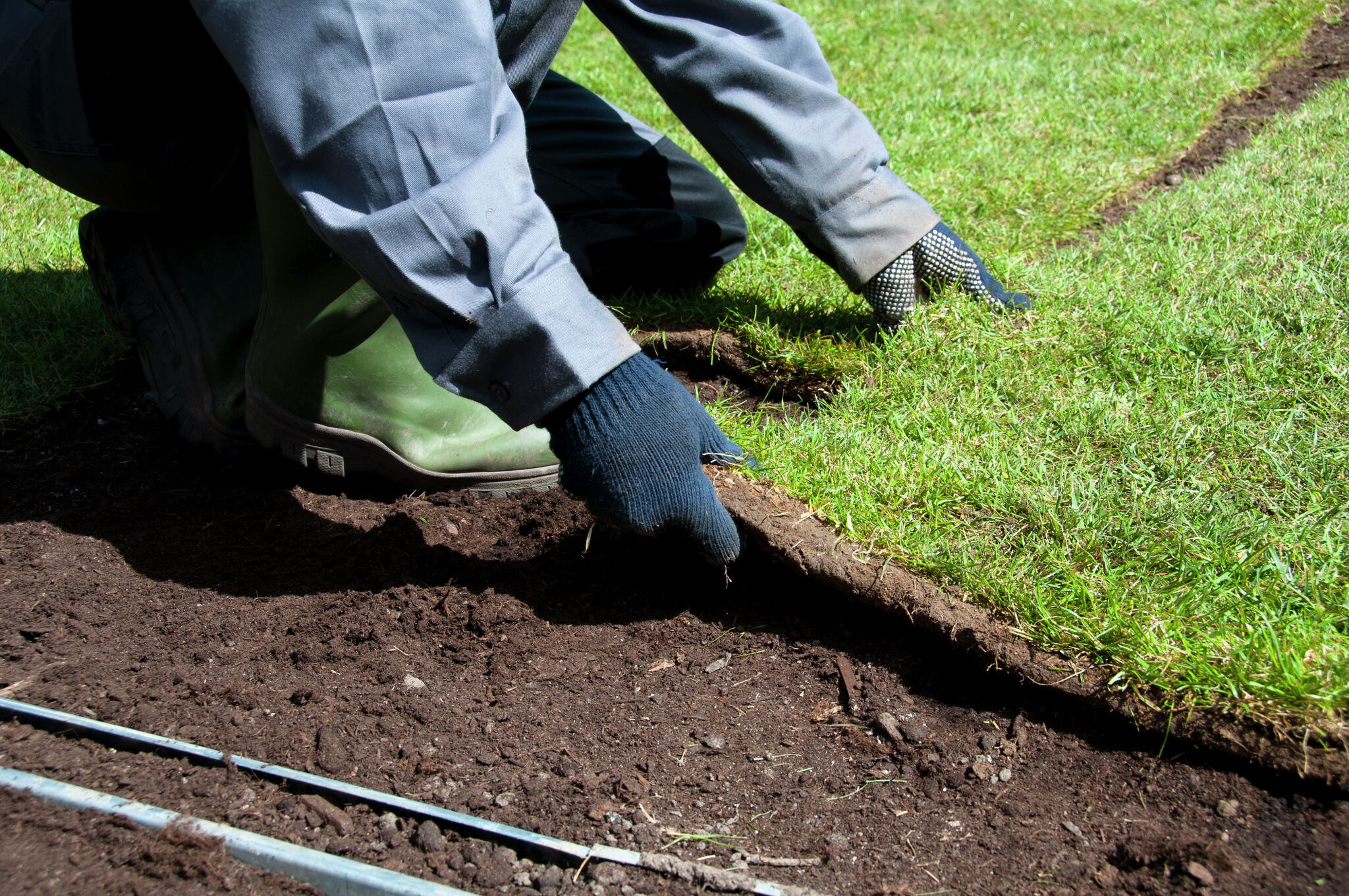 How to Care for New Sod in the Fall