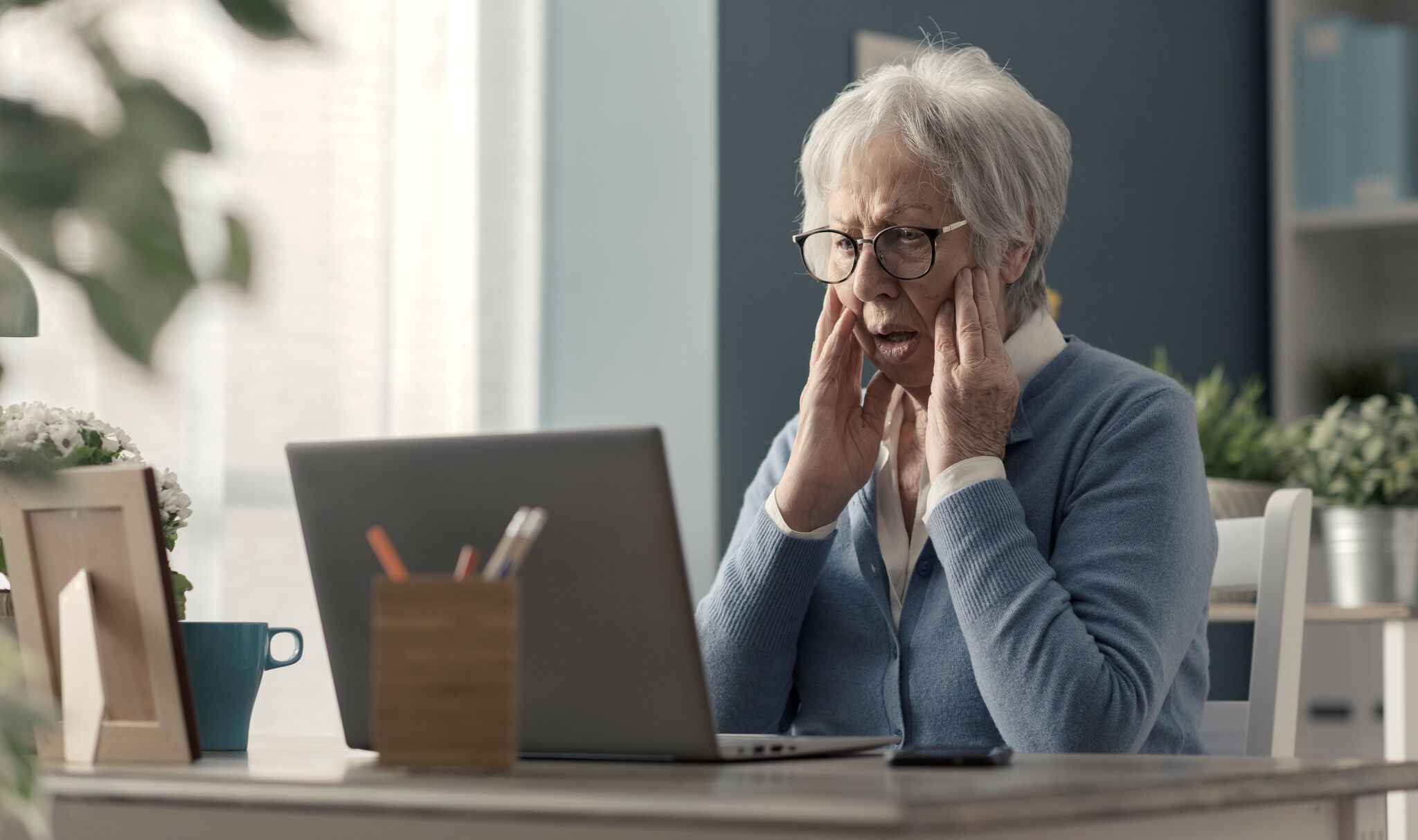 Online Scams Target Vulnerable Older Adults