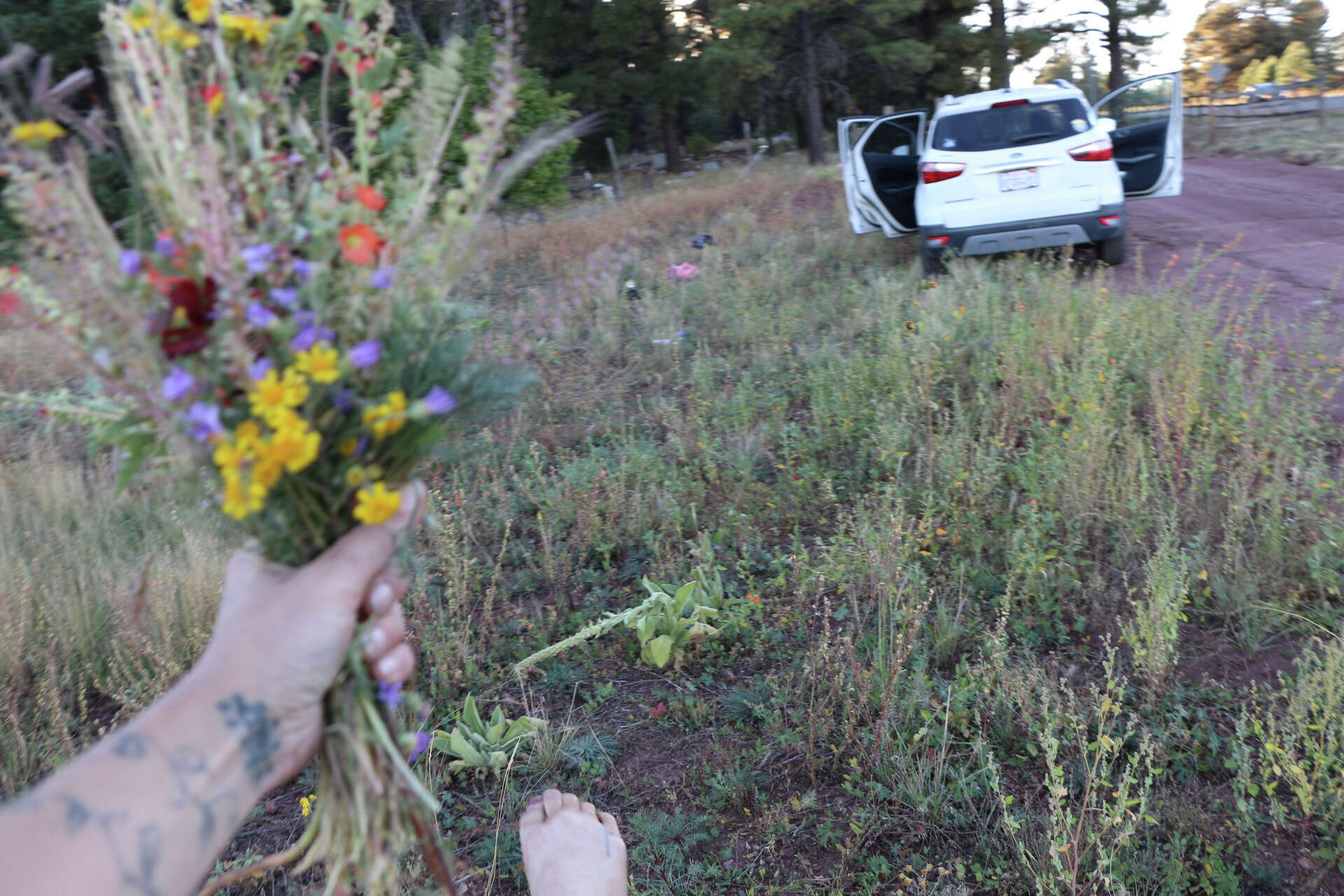 Calif. woman vanishes on crosscountry road trip, abandoned car found