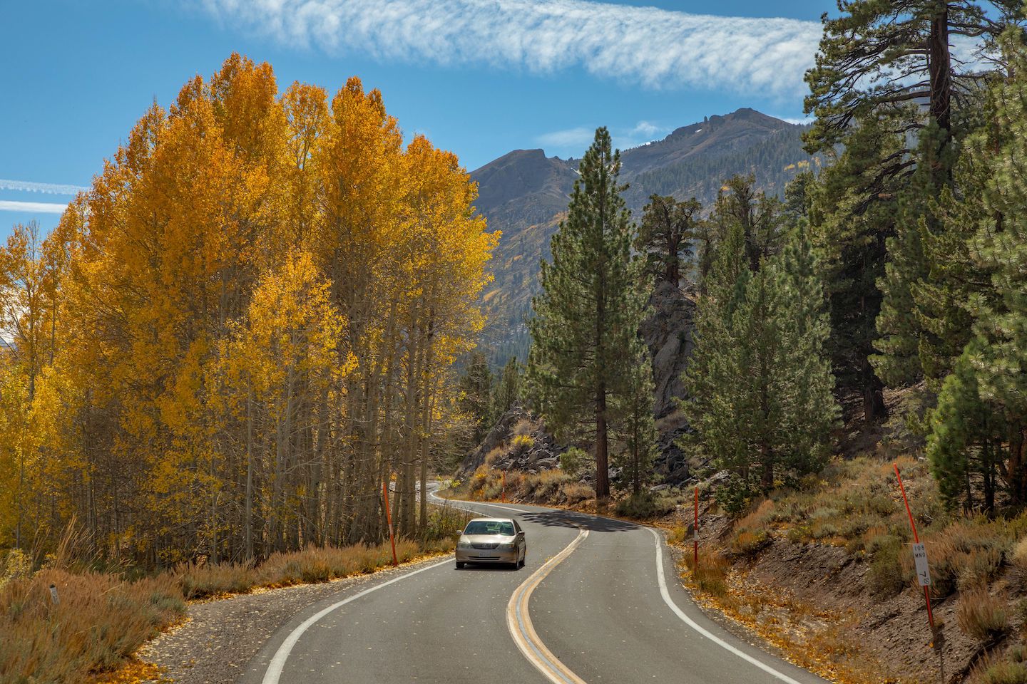 California fall foliage Where to see the ‘very vibrant’ colors