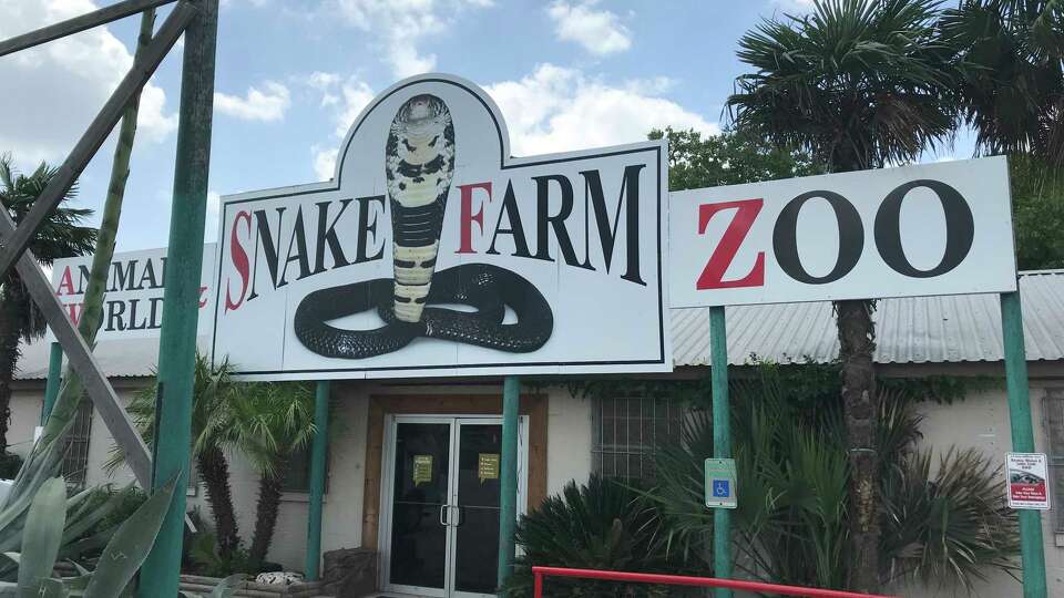 The venerable Snake Farm on I-35 at New Braunfels has been in business since 1967.