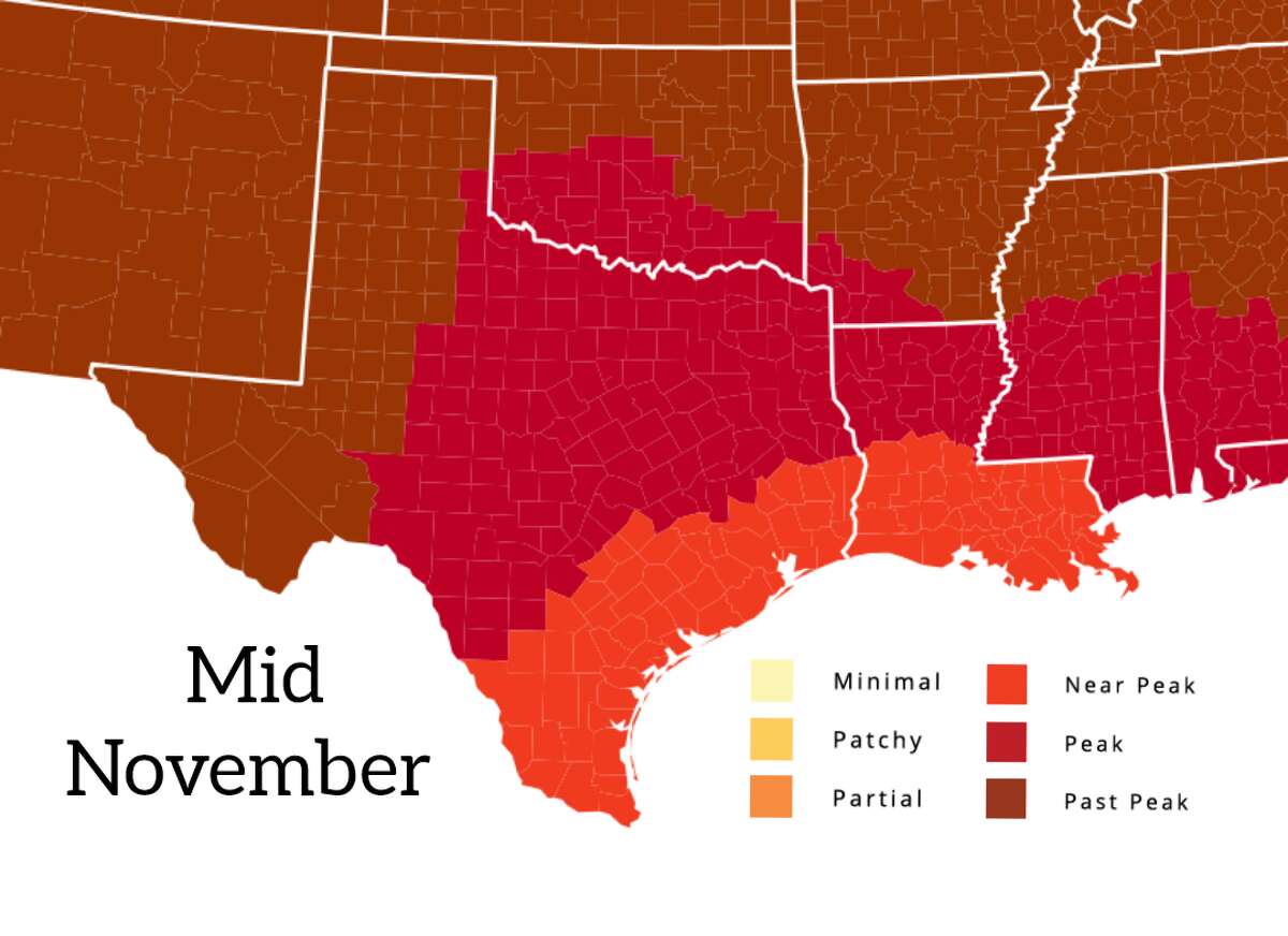 Fall foliage peaks in much of Texas by middle to late November. By this time, it’s past peak in regions like the Guadalupe Mountains National Park.