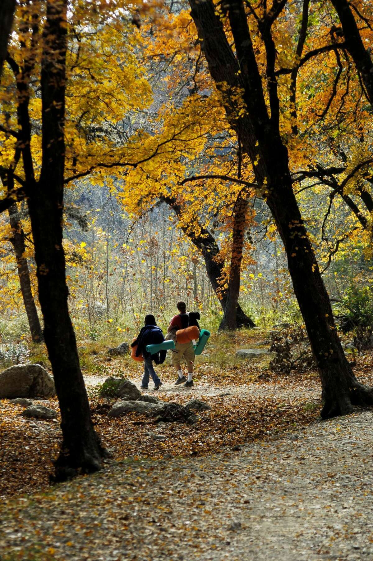Lost Maples State Natural Area is perfect for exploring the fall colors, featuring 10 miles of trails to hike.