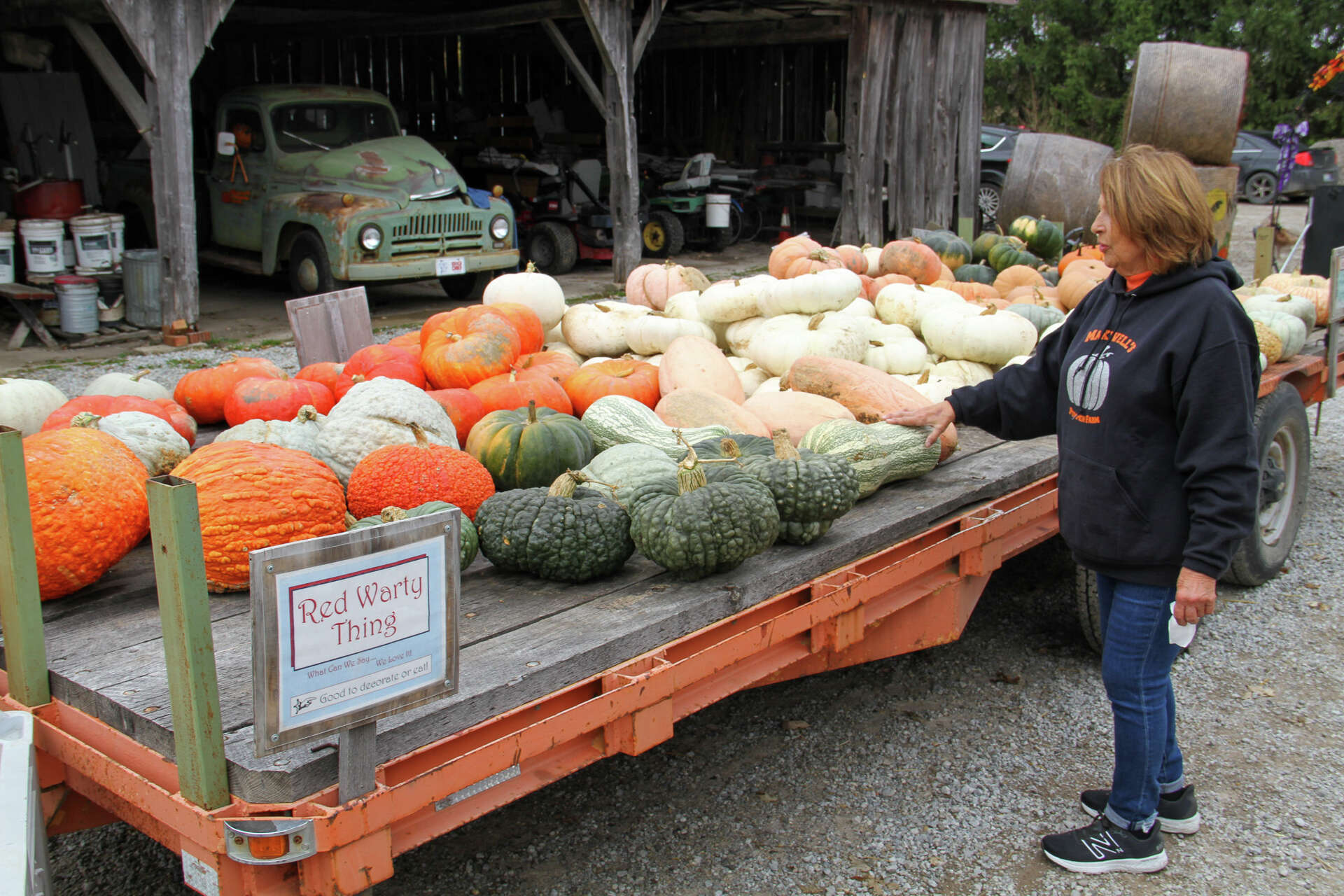 After 53 years, Maxwell's Pumpkin Farm marks its final season