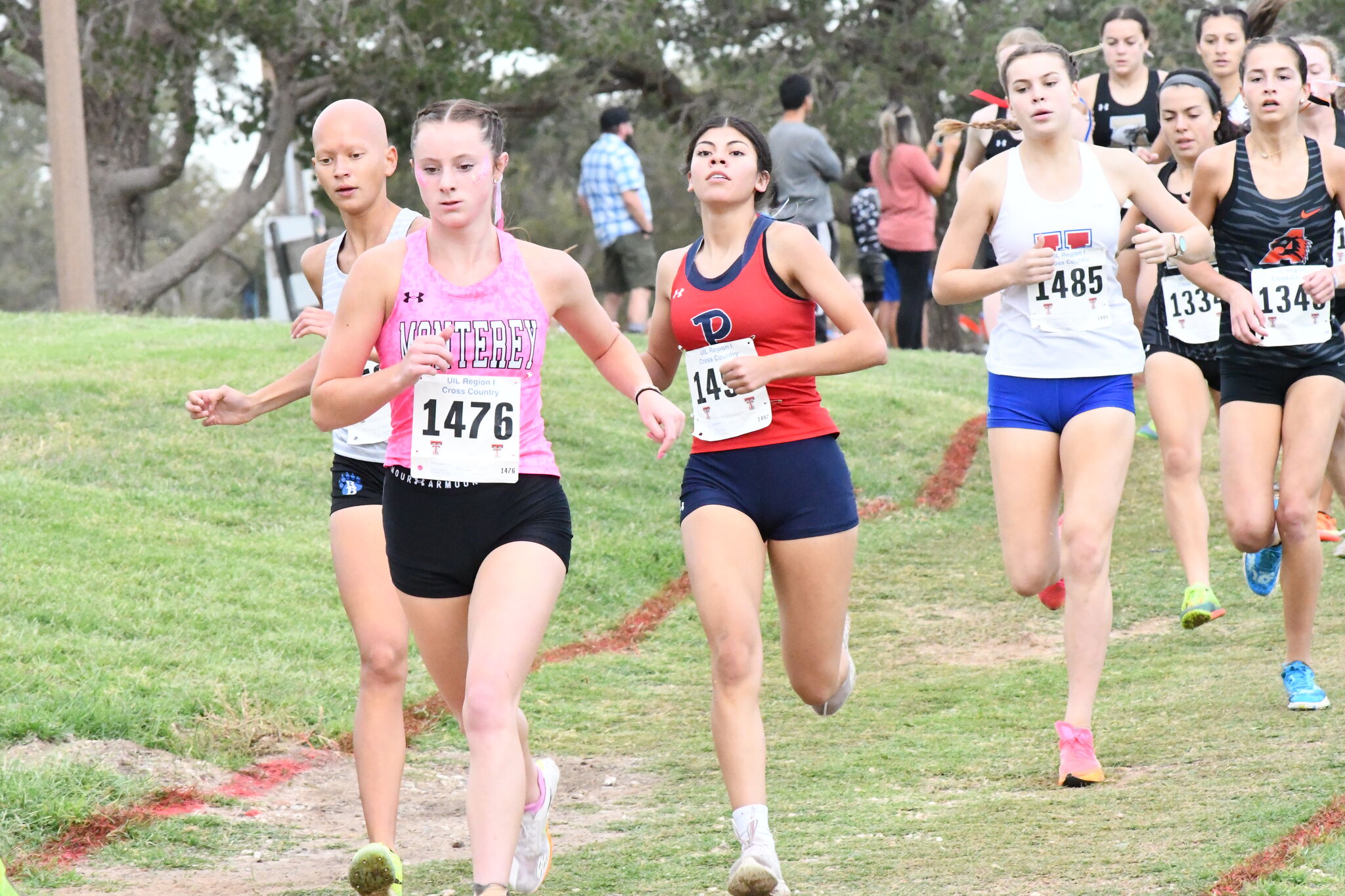 Area cross country runners compete in regional meet