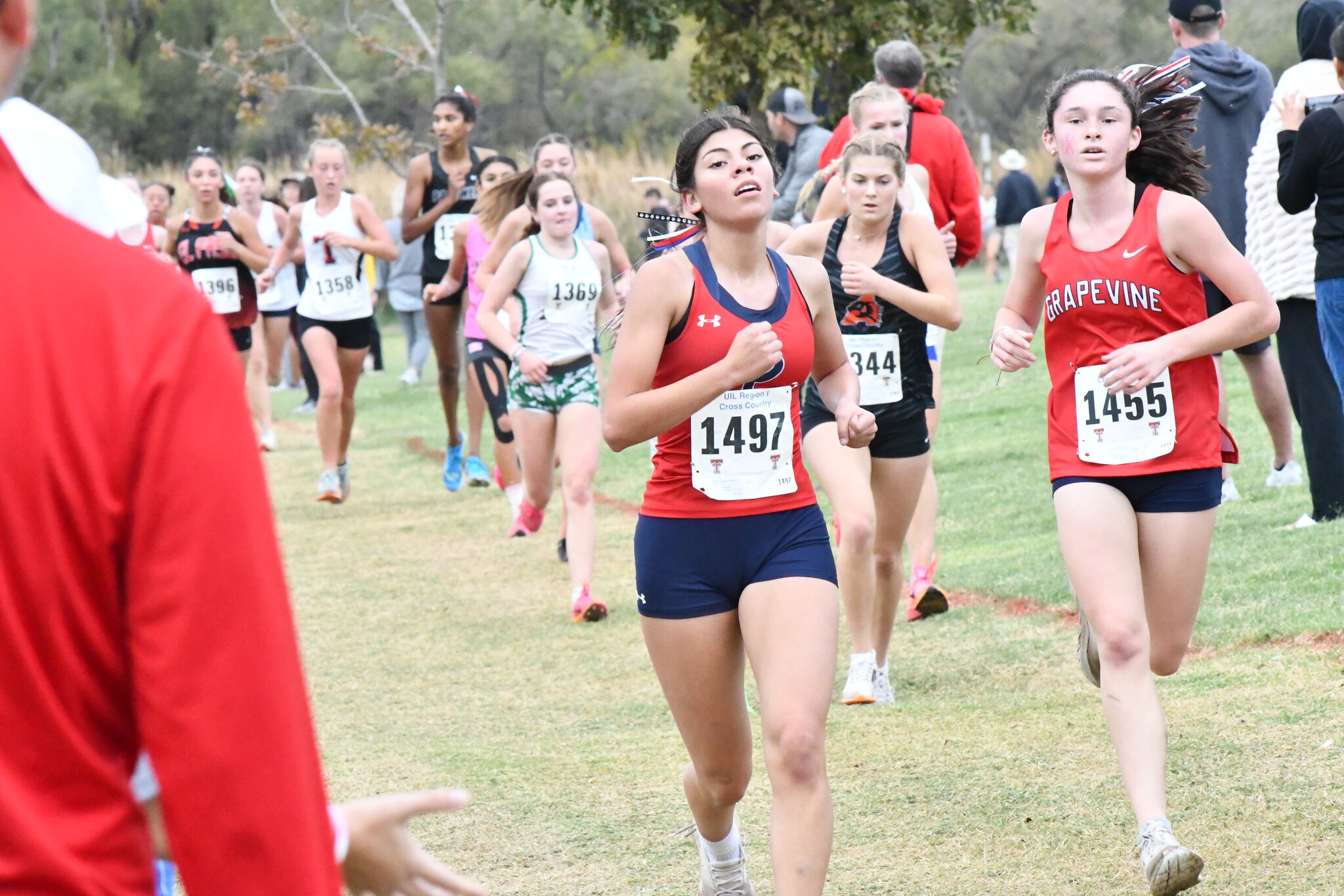 Plainview cross country competes at regional meet