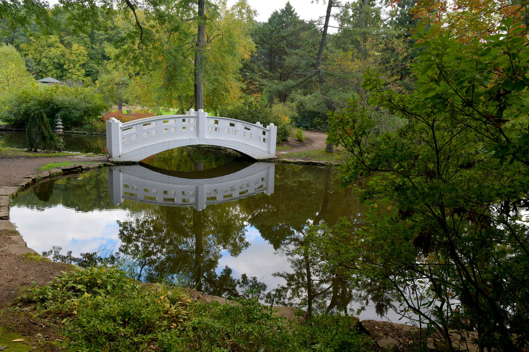 Wickham Park Gardens