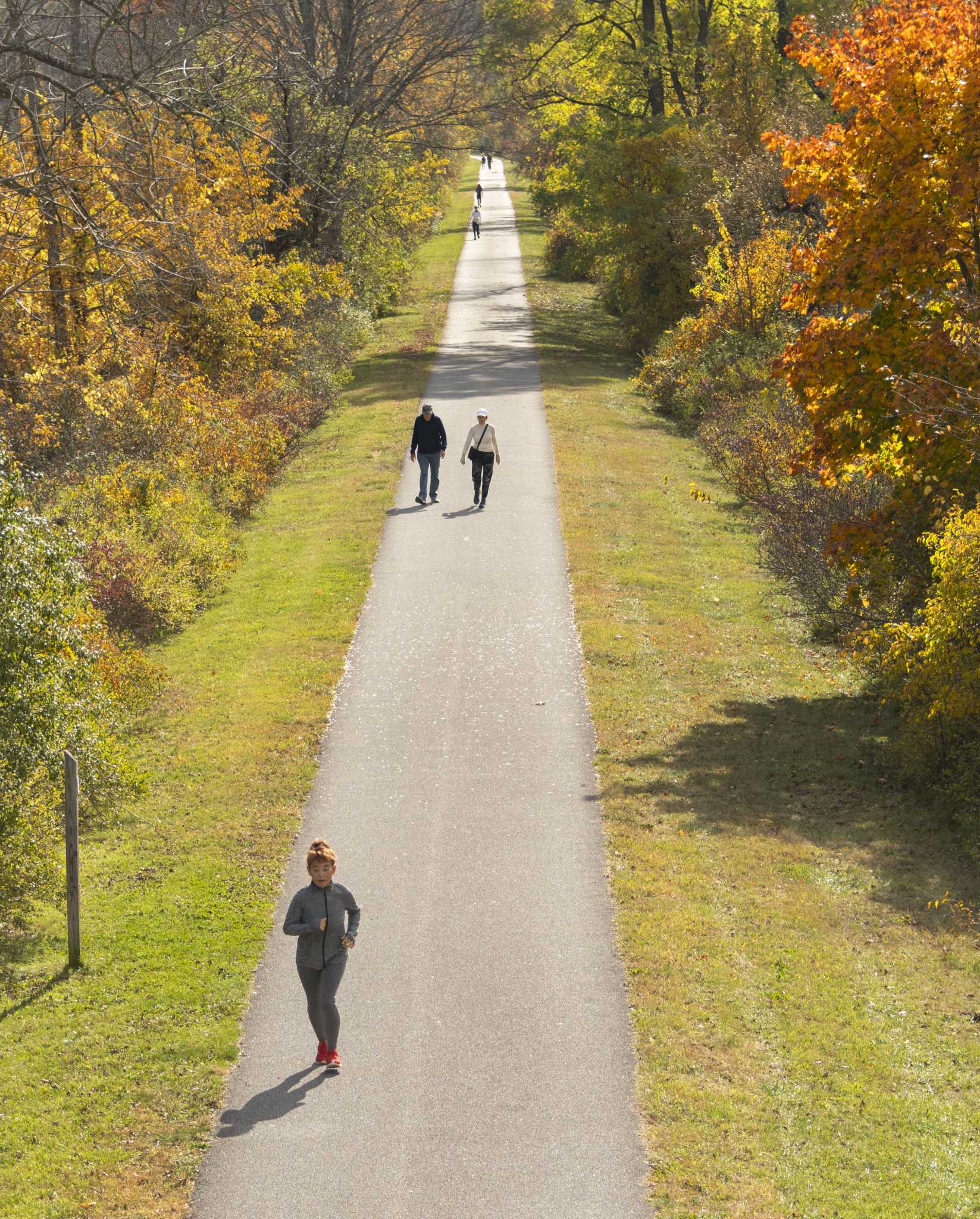Temperature to hit 70s in Albany area, drop to 40s for Halloween