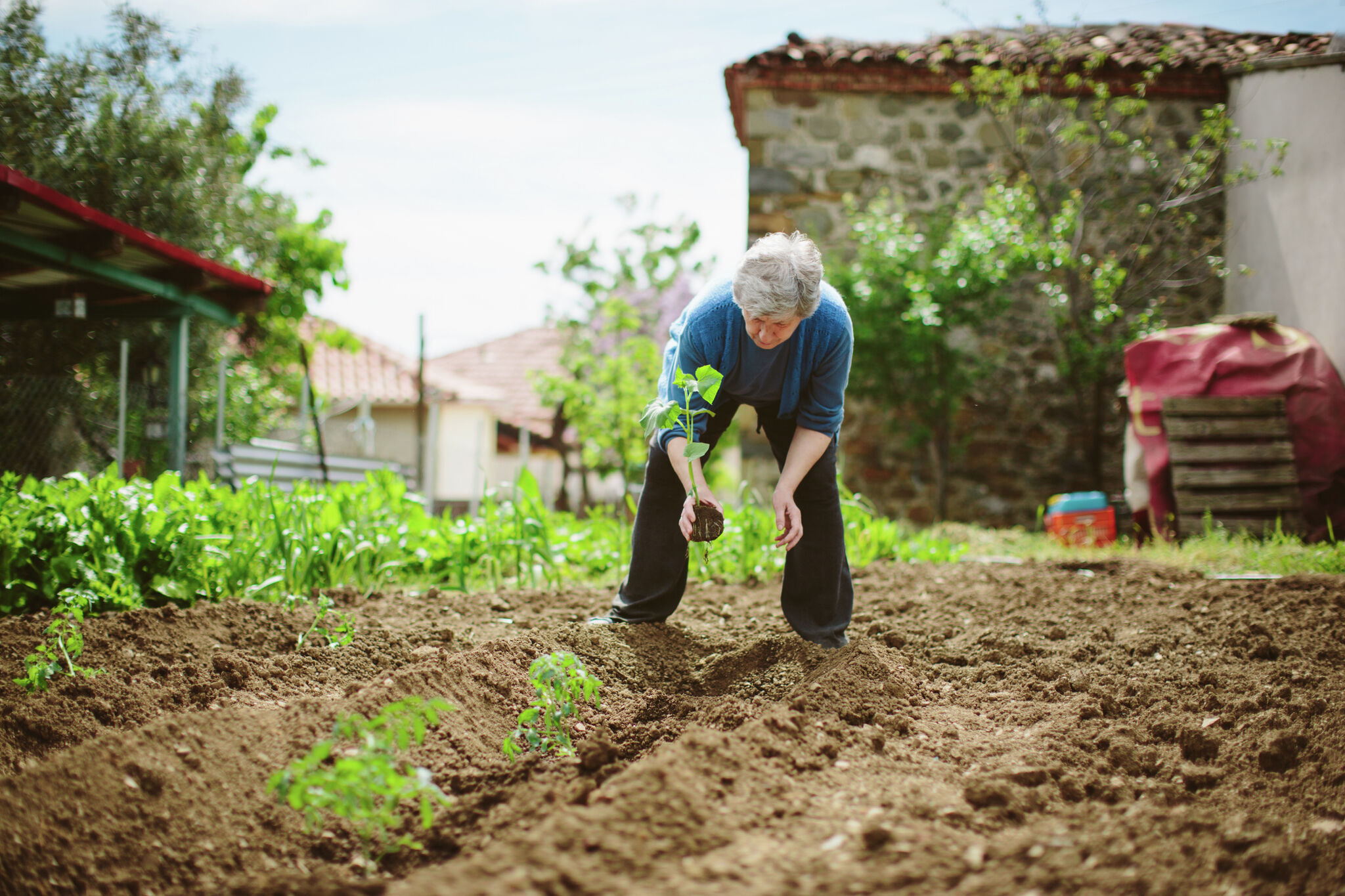 How to Use Cardboard As a Weed Barrier In Your Garden