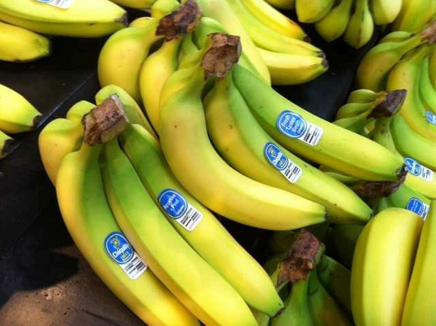 Could a fungal disease cause the most common type of banana to go