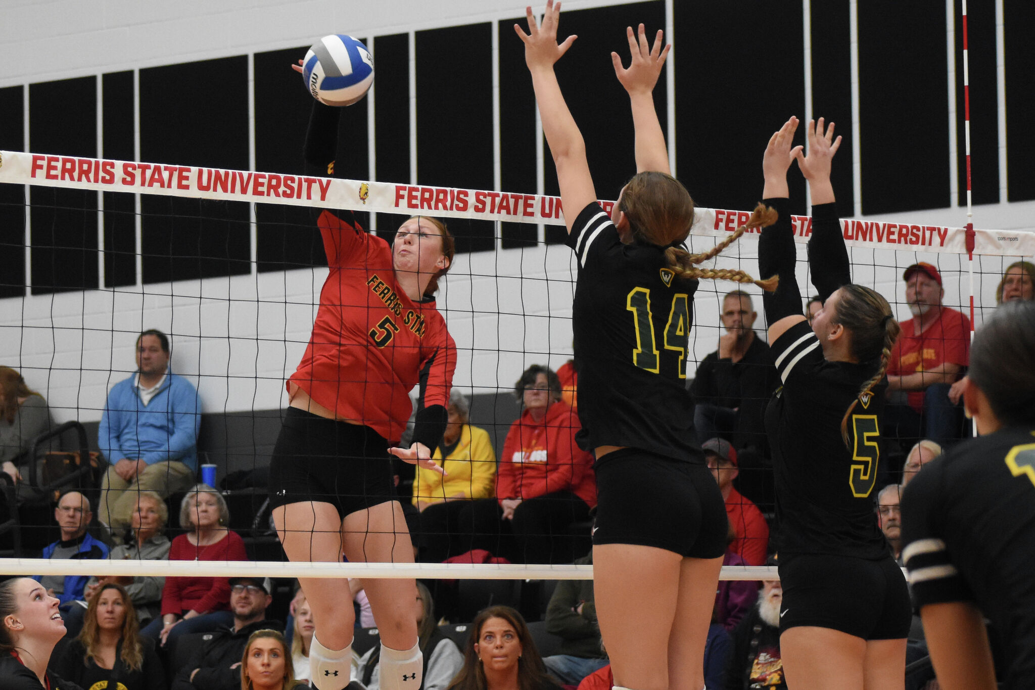 Ferris State Bulldogs Volleyball Beats Wayne State