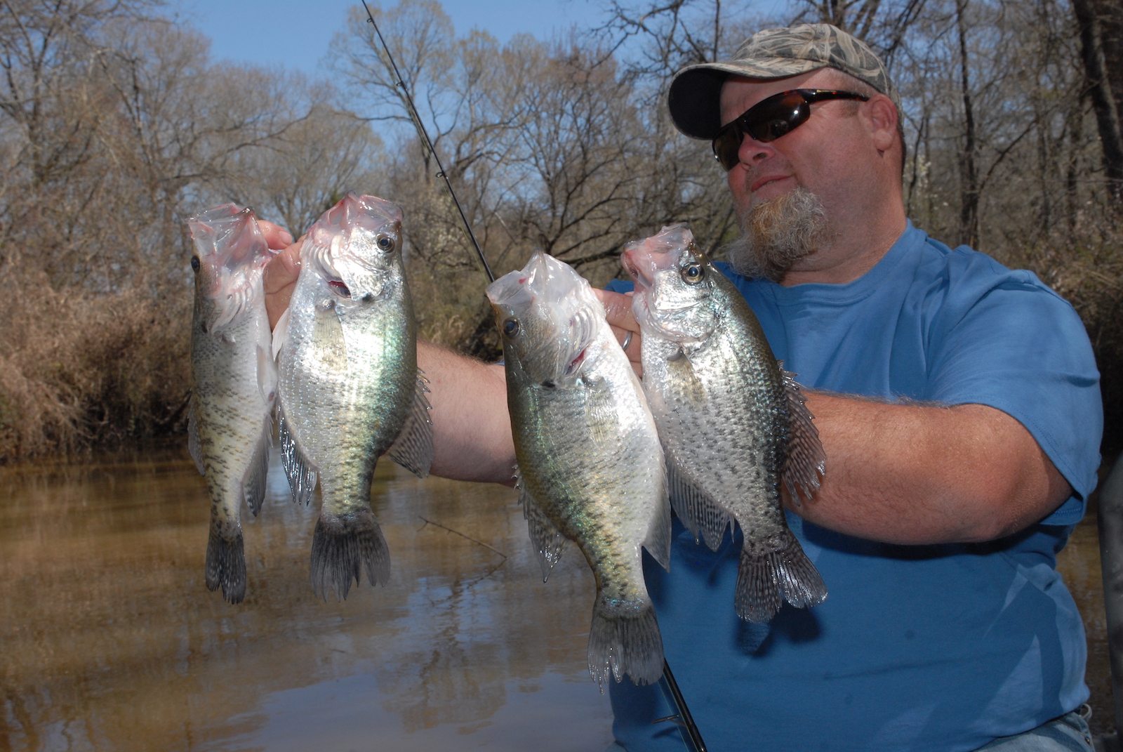 Ultimate Crappie jigs are the Texas Avocado with a walleye head