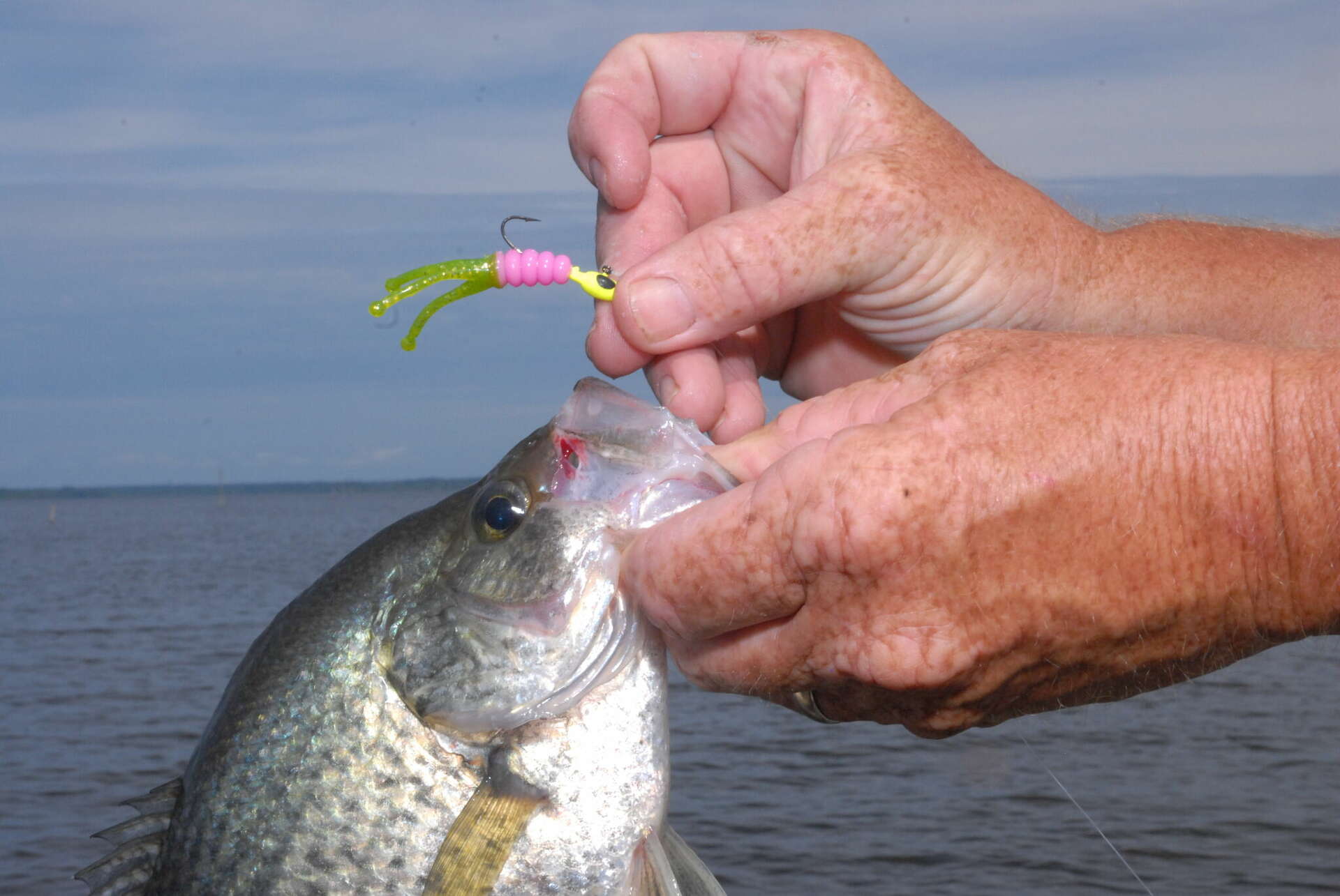 doa fishing lures snake TerrorEyz PEARL/FIRE TAIL / 1 Rigged 3/8 oz & 2 Bodies / 3 Pack Big lure Size:12