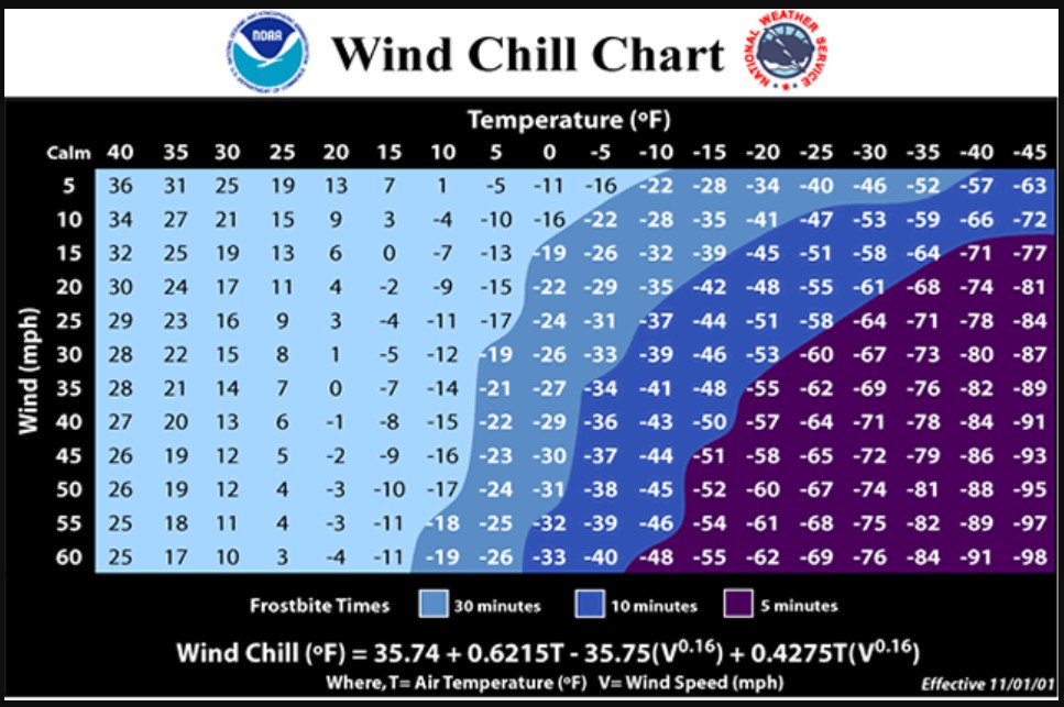 Why Do Heat Index and Wind Chill Temperatures Exist?