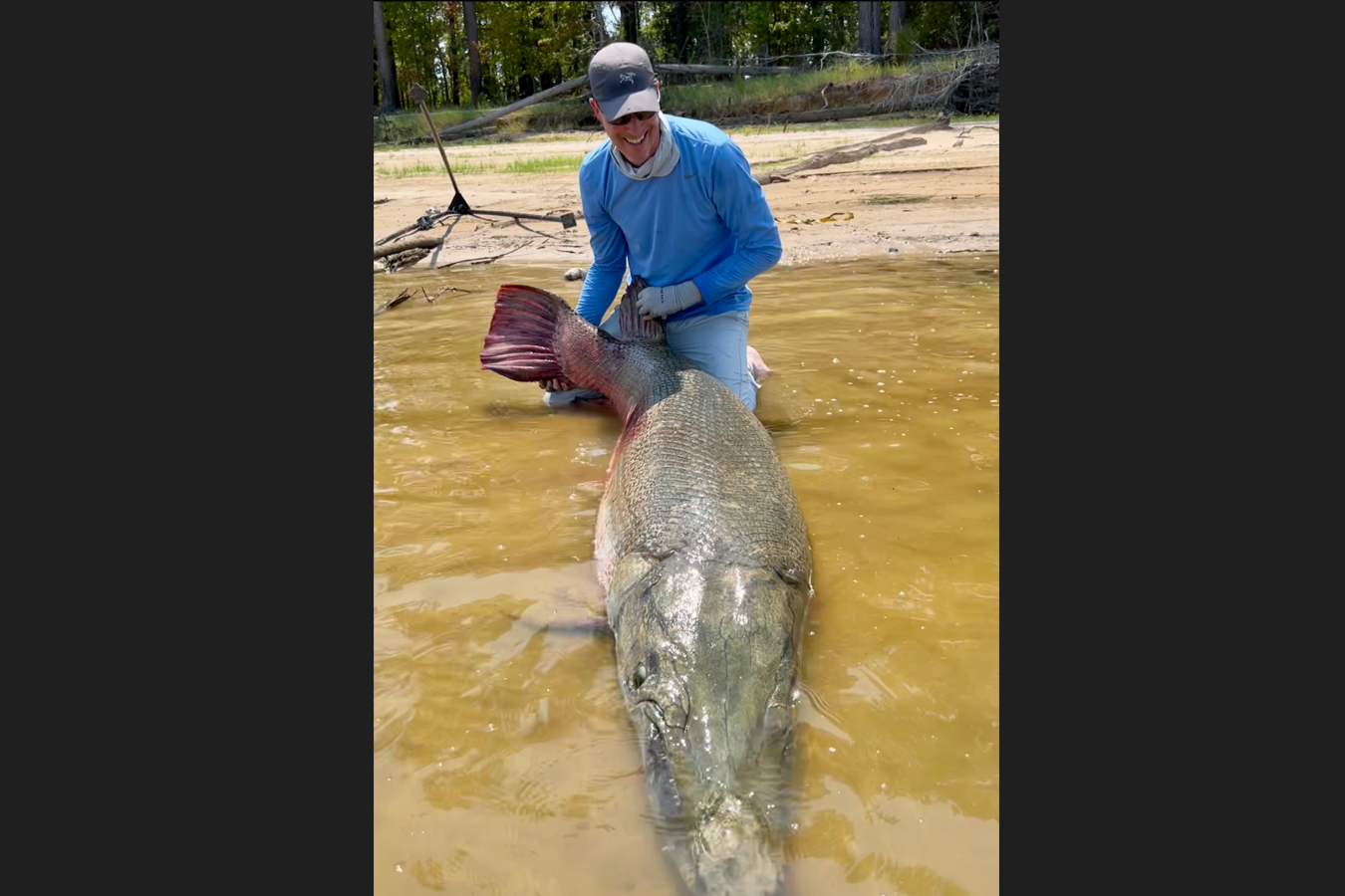 Near 300-pound alligator gar caught in Texas breaks 4 records - Chron
