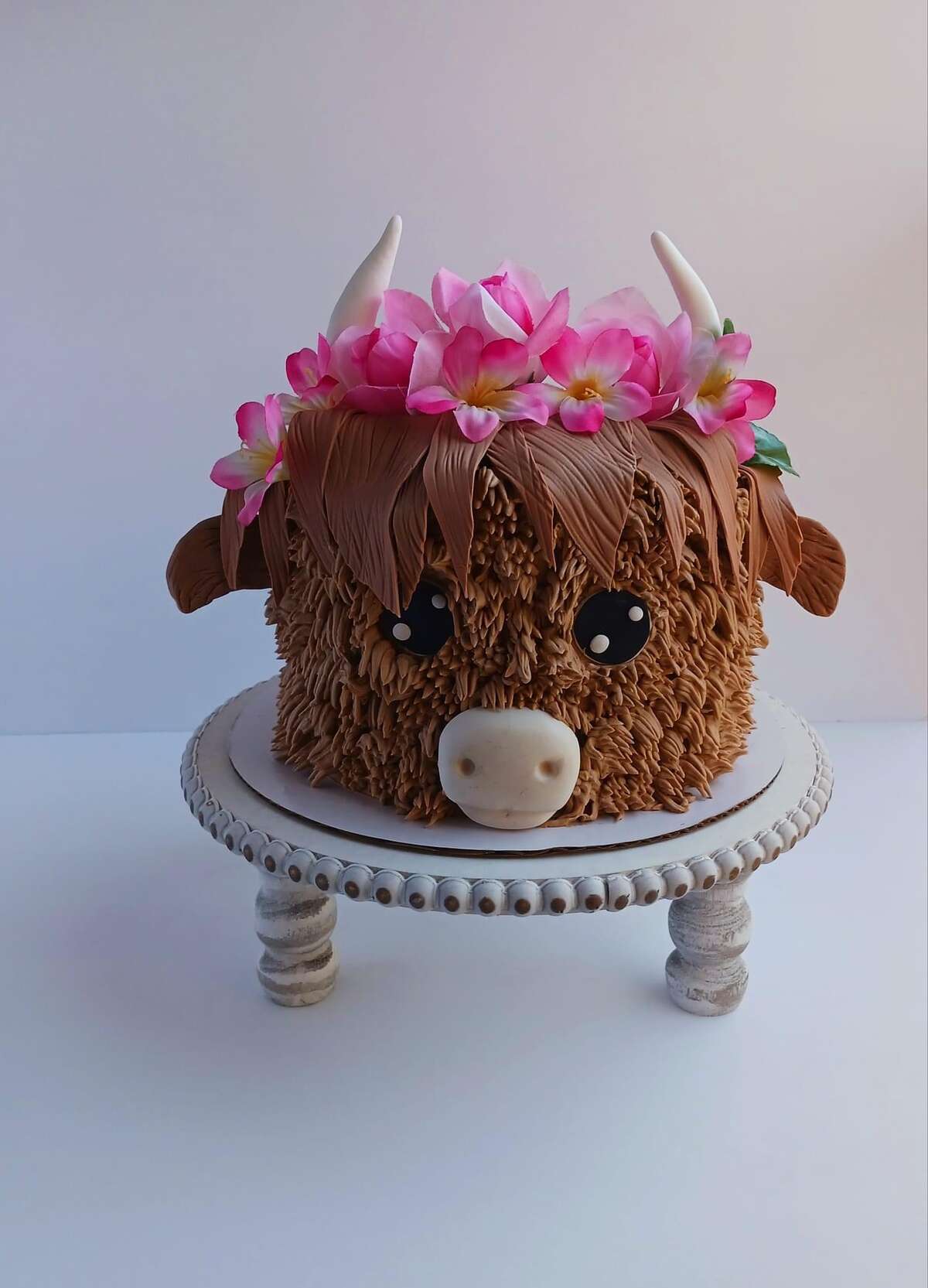 Sugar Shack cake designs owner sat down for some questions