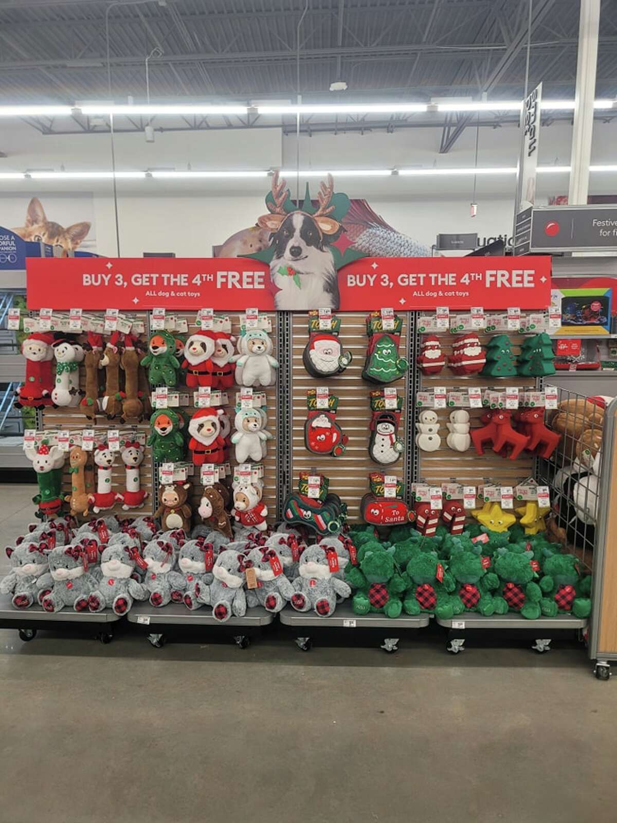 PetSmart opens in Laredo, is hiring ahead of Saturday's grand opening