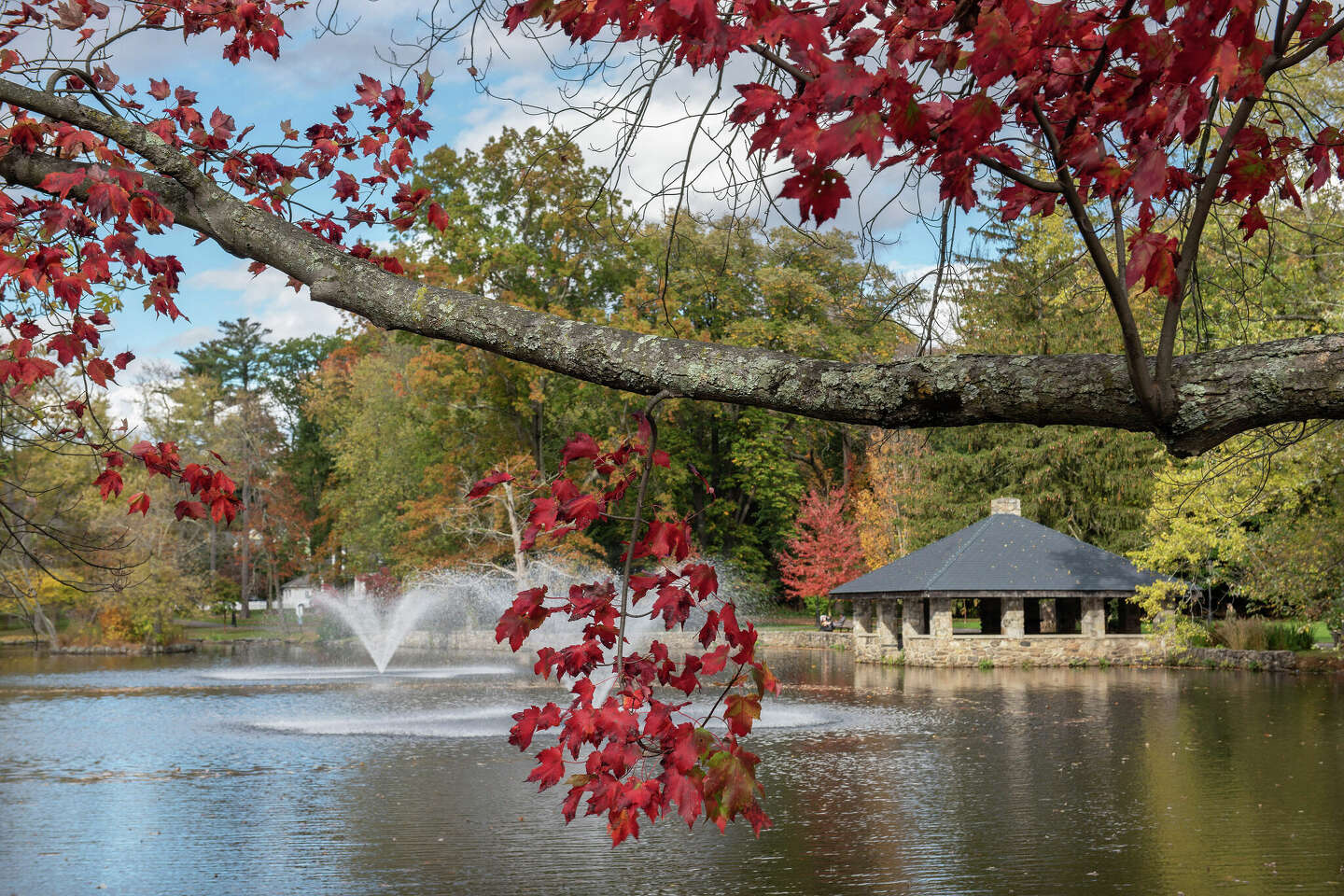 Tilly Pond Park