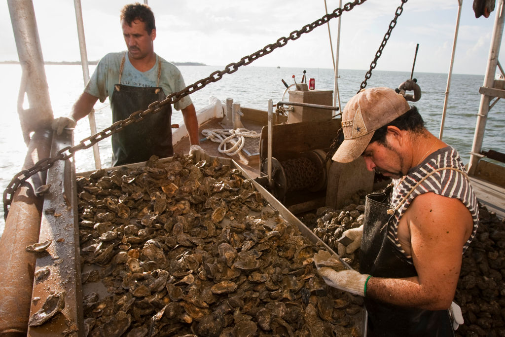 Texas oyster season 2023 Harvest areas closed as reefs under stress
