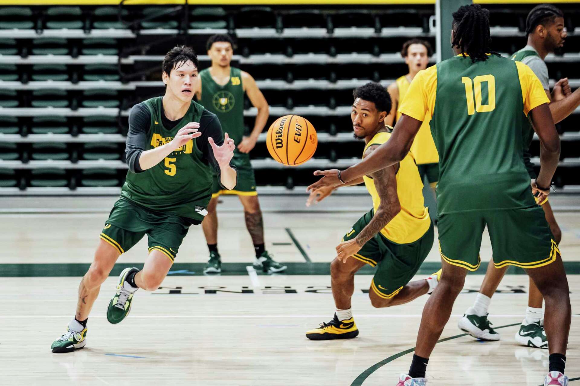 Usf dons basketball fashion roster