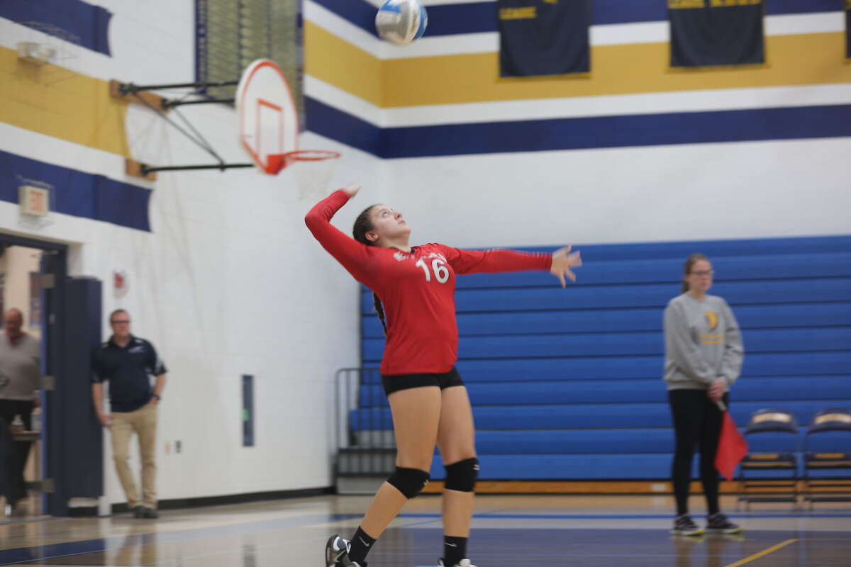 Huron Daily Tribune top volleyball teams of 2023 Huron Daily Tribune top volleyball teams of 2023
