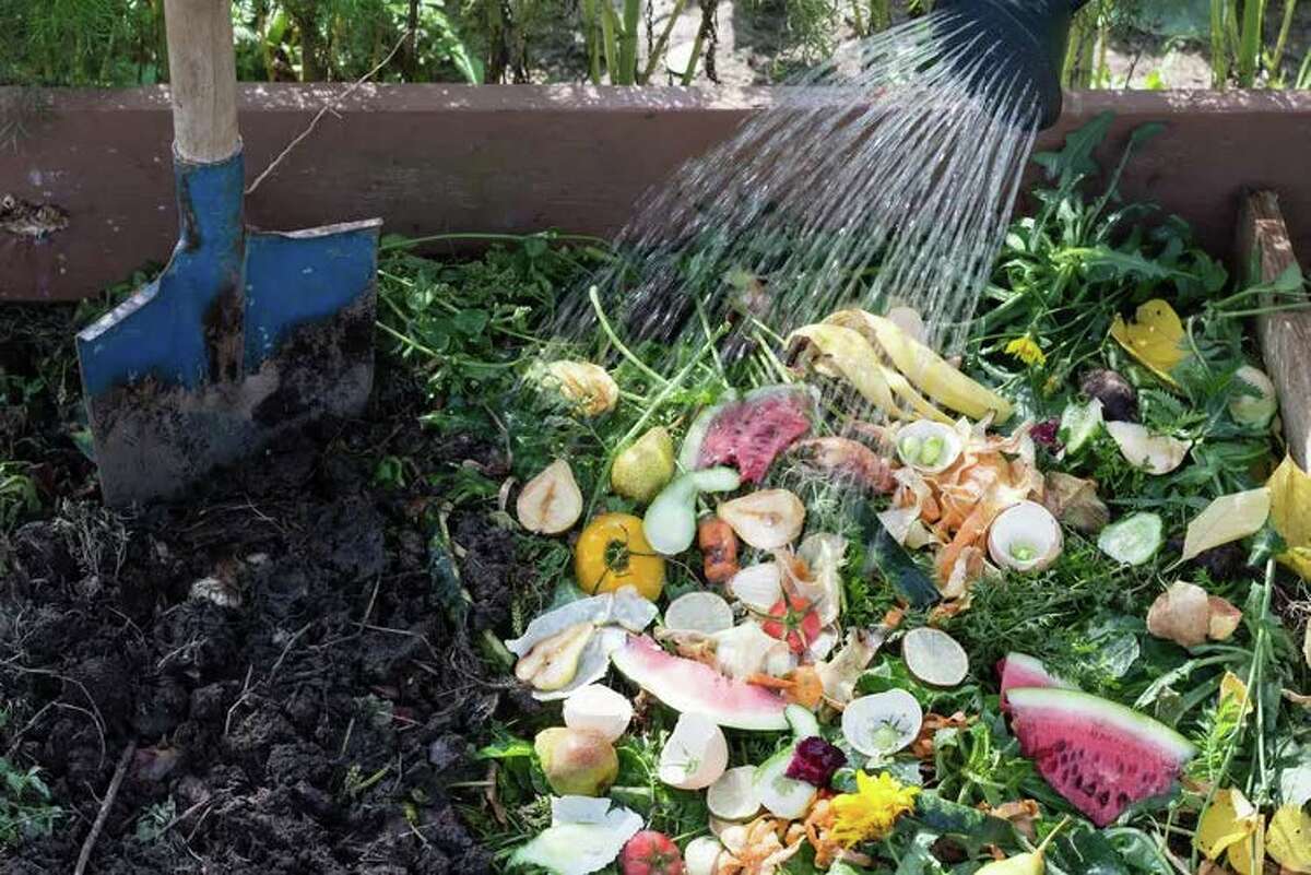 Best Compost Thermometers for 2023 - Compost Magazine