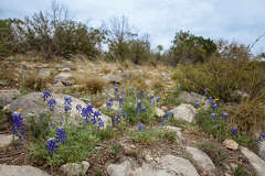 Double T Ranch for sale in West Texas has caves
