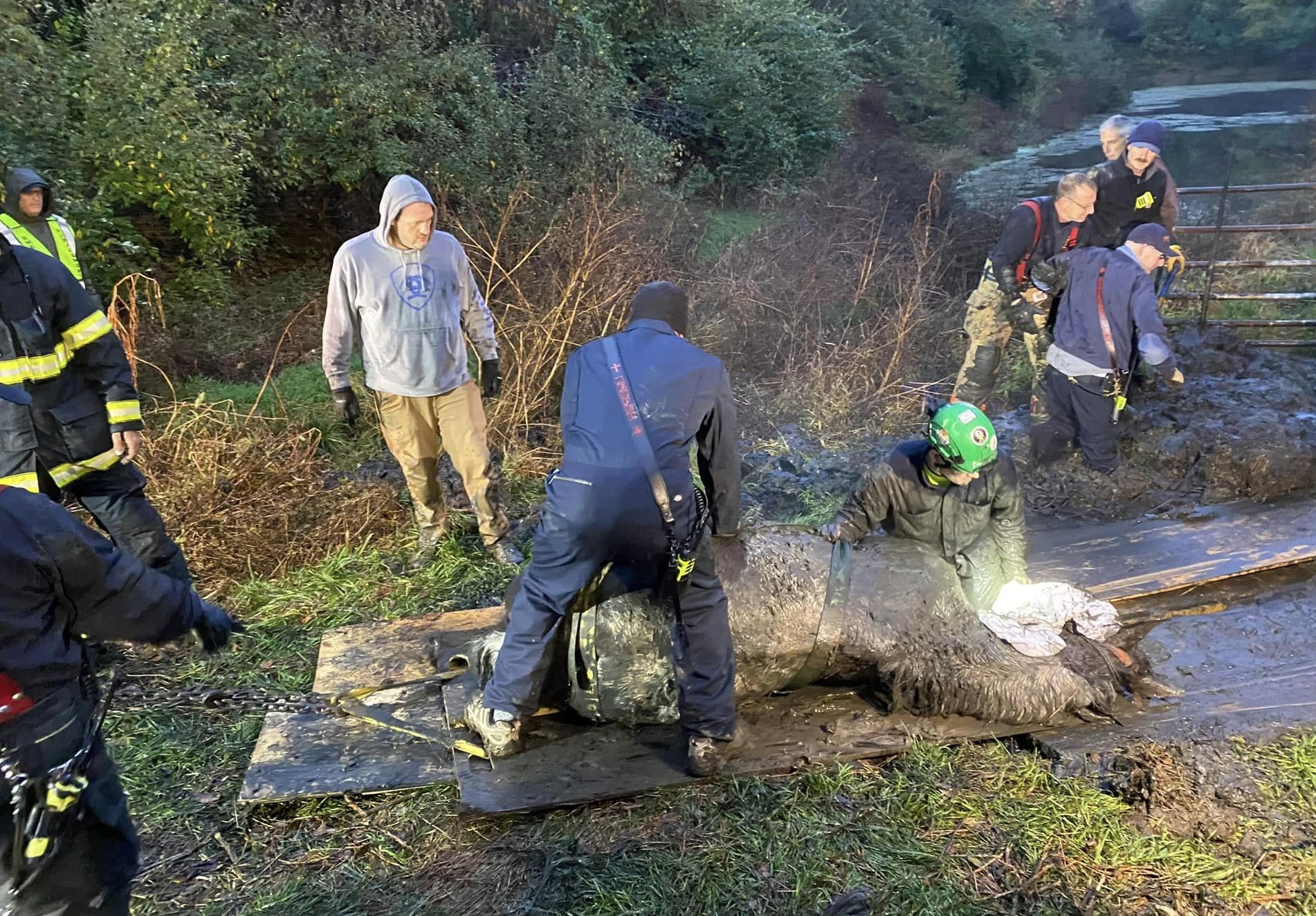 First responders save horse stuck in mud at local farm