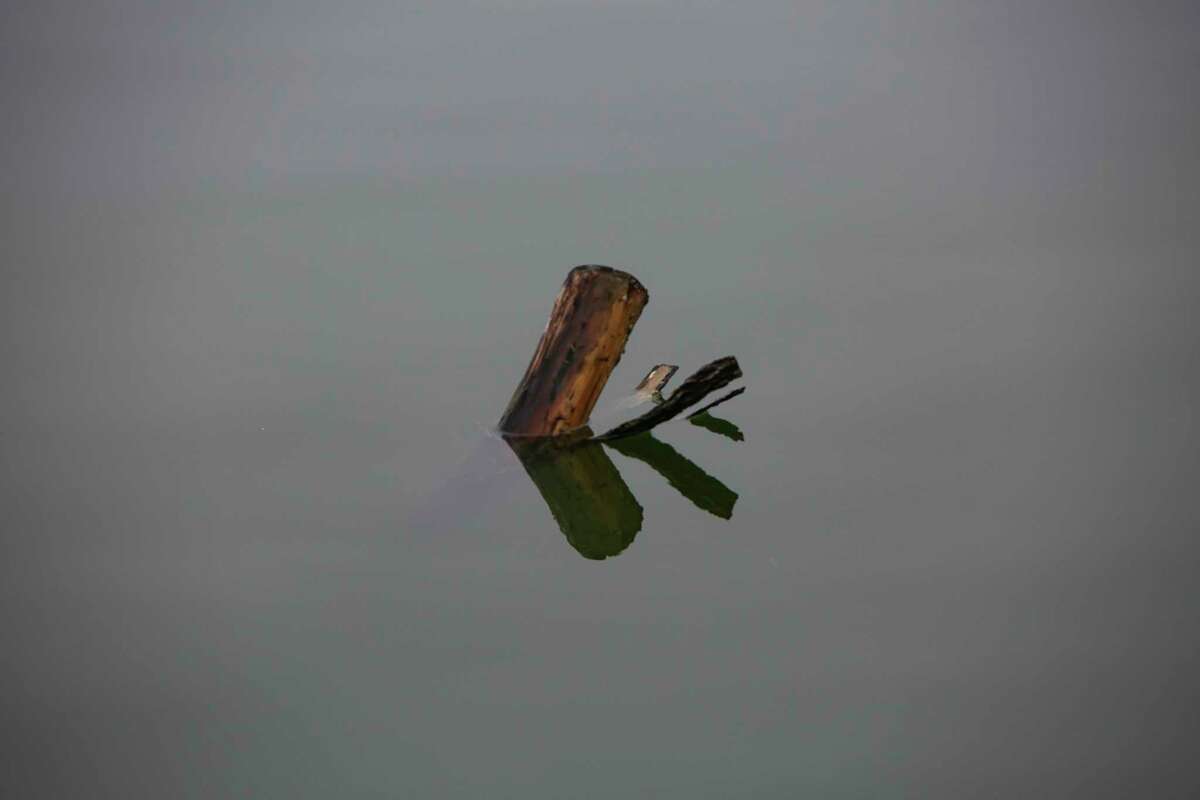 A log juts out of the water at Lake Dunlap on Nov. 4. The lake recently has been refilled after a dam failure in 2019 caused it to drain. 
