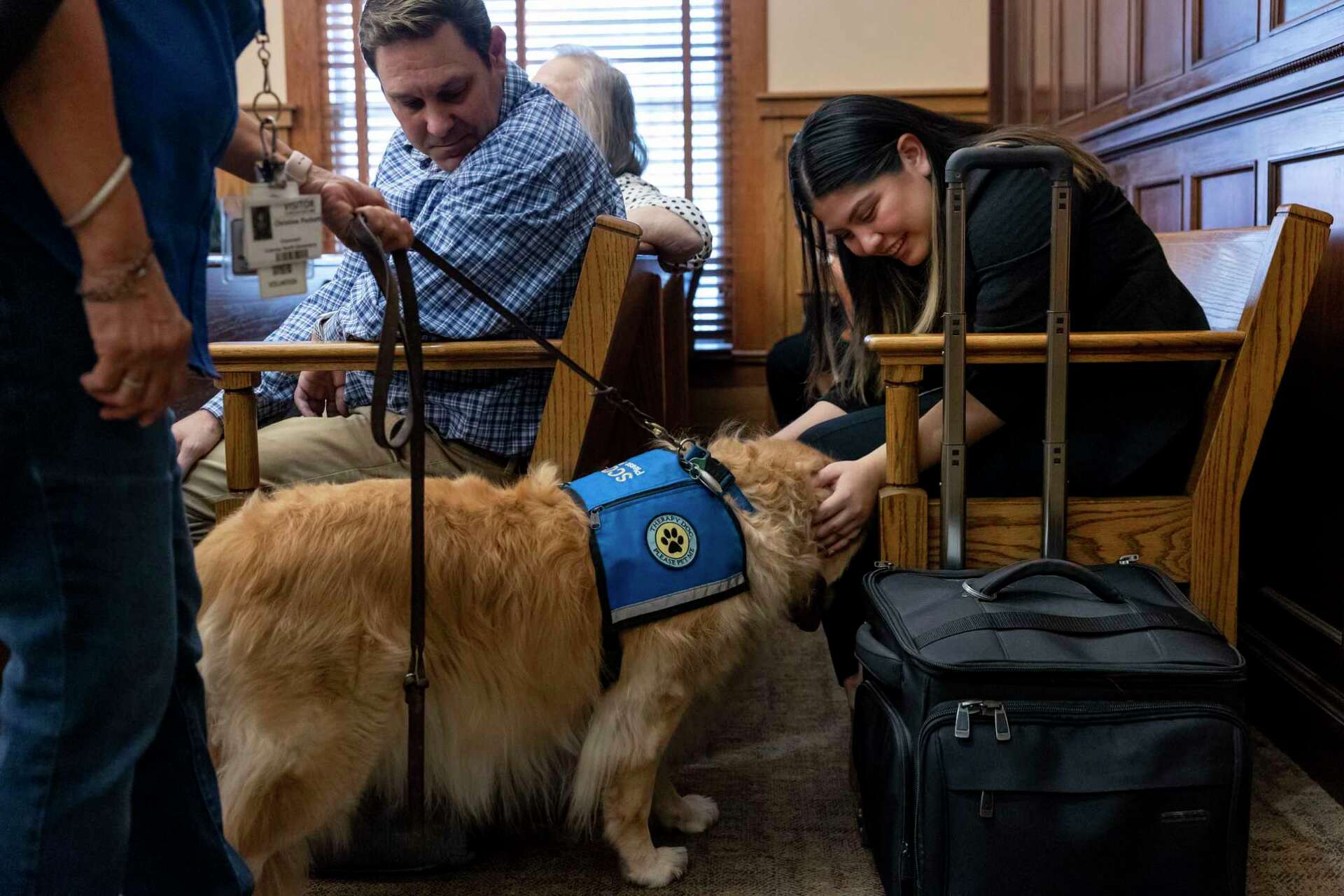 Therapy dogs cut tension in tense San Antonio courtrooms
