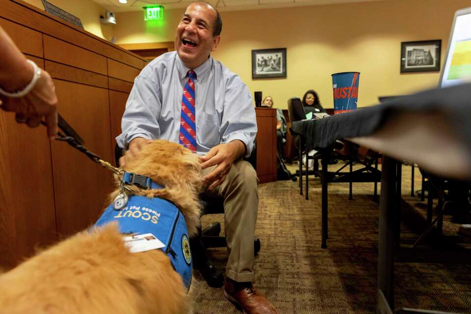 Therapy dogs cut tension in tense San Antonio courtrooms