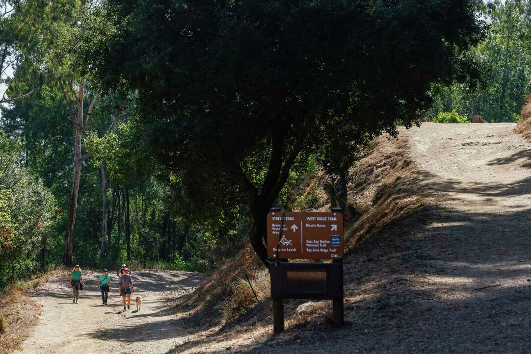 Stanly Lane and San Francisco Bay Trail, California - 56 Reviews