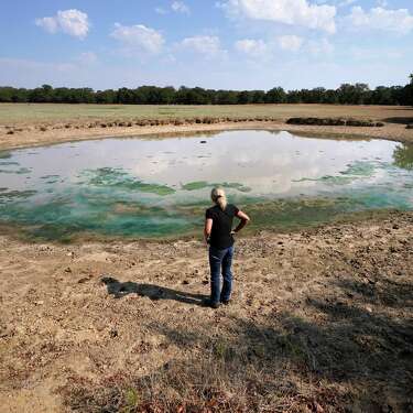 Gilda Jackson surveys an area that has dried, and dropped a few feet due to drought conditions affecting the region and her property in Paradise, Texas, Monday, Aug. 21, 2022. Many farmers, including Jackson, might see a benefit in the next 50 years from installing irrigation infrastructure. (AP Photo/Tony Gutierrez)