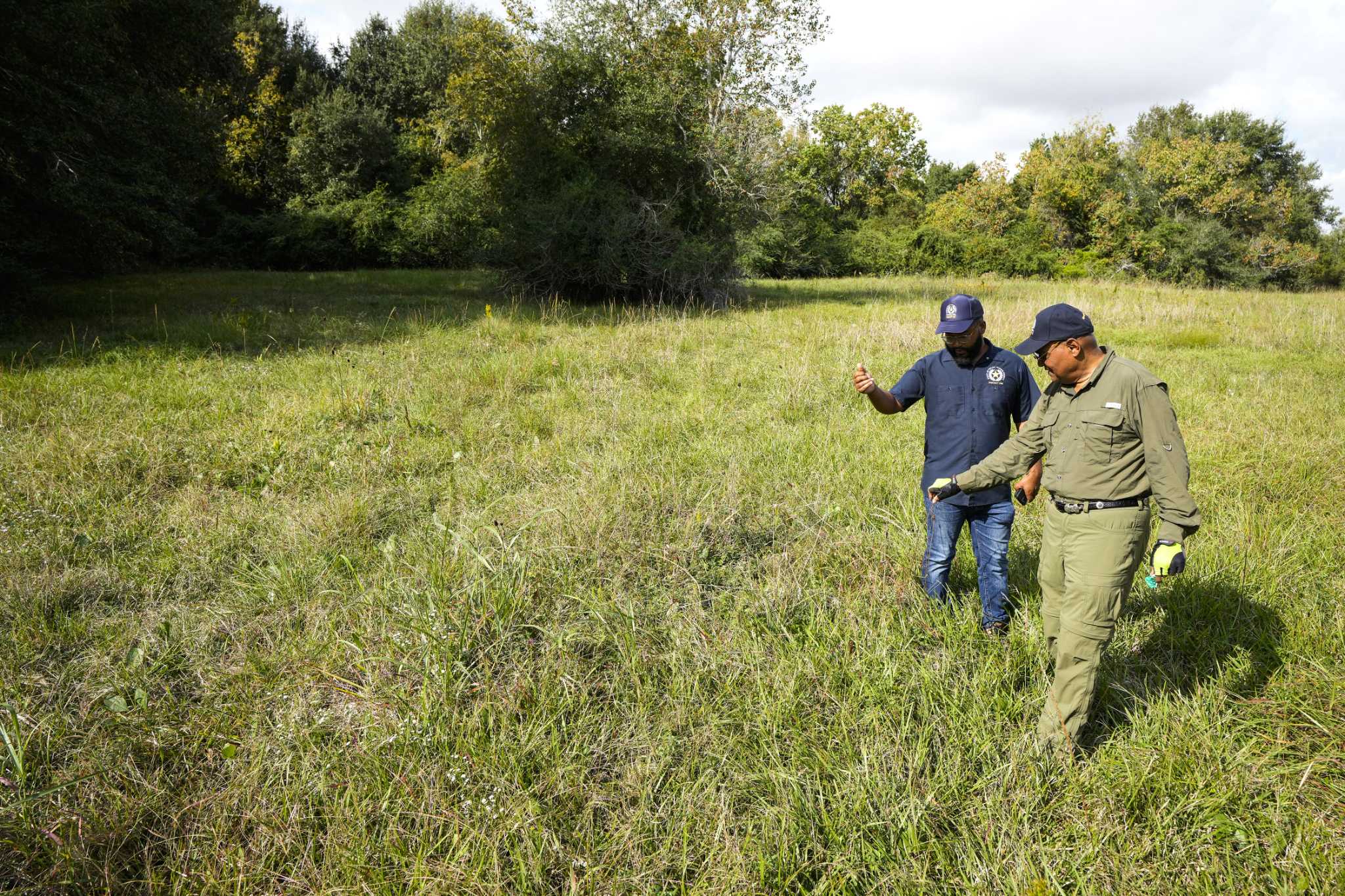 Conservationists find 45 acres of Houston native prairie