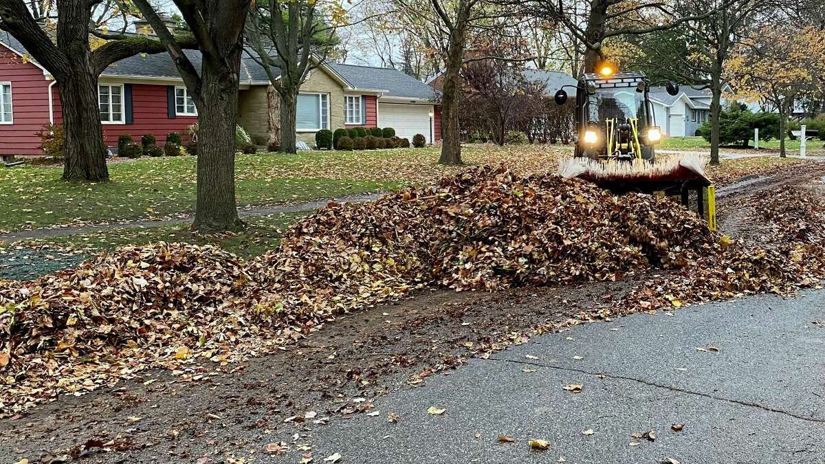 Midland leaf collection: where do leaves go, what are they used for?