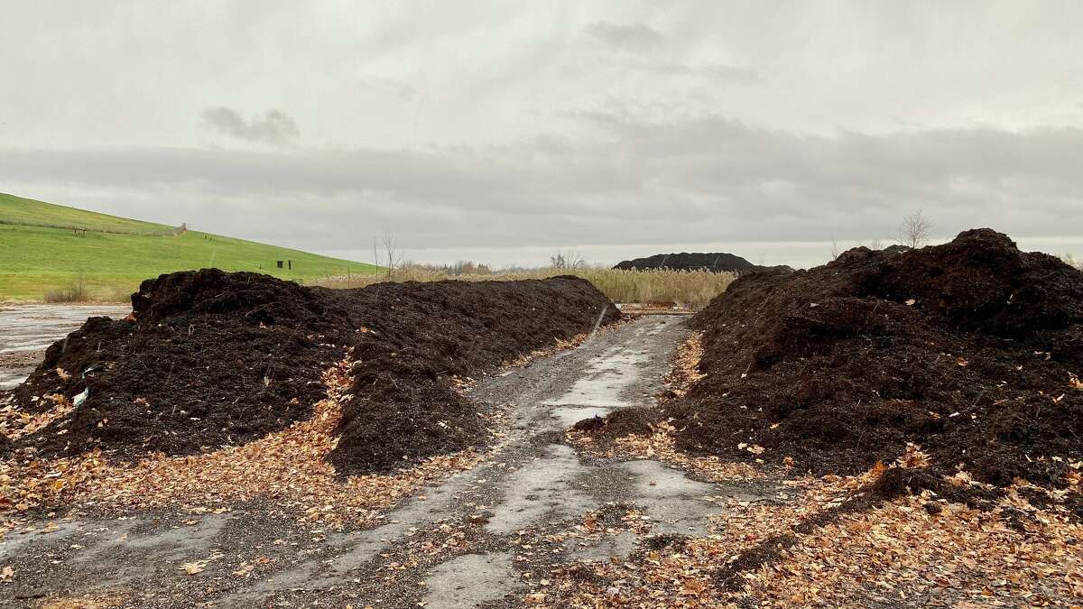 Midland leaf collection where do leaves go, what are they used for?