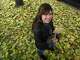 Artist and interior designer Stephanie Salway on Nov. 13, 2023, in Saratoga Springs.