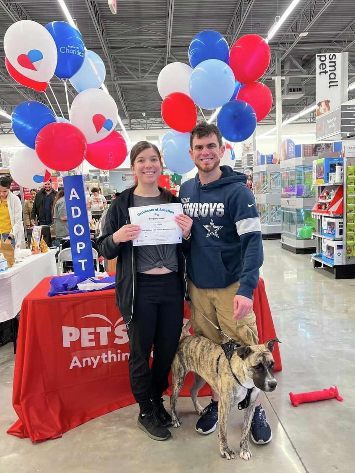 Cats and dogs from LAPS, BFFL find homes at PetSmart adoption event