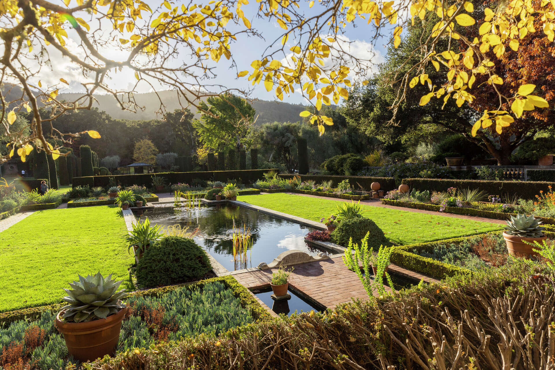 Skip Pricey Summer Travel - Explore 4 Hidden Bay Area Gems