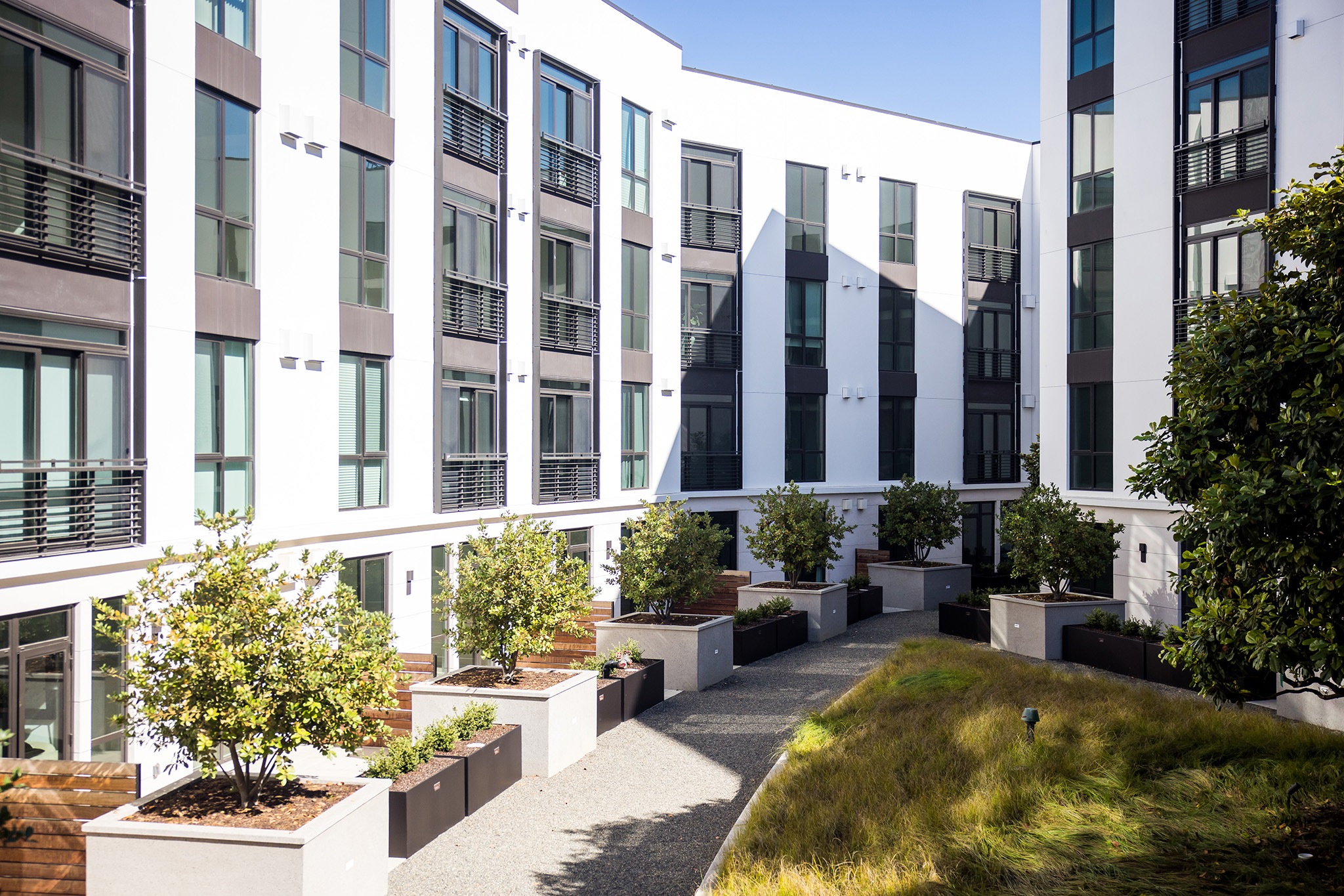 Image showcasing These SF condos are selling much better than all others. Here's why.