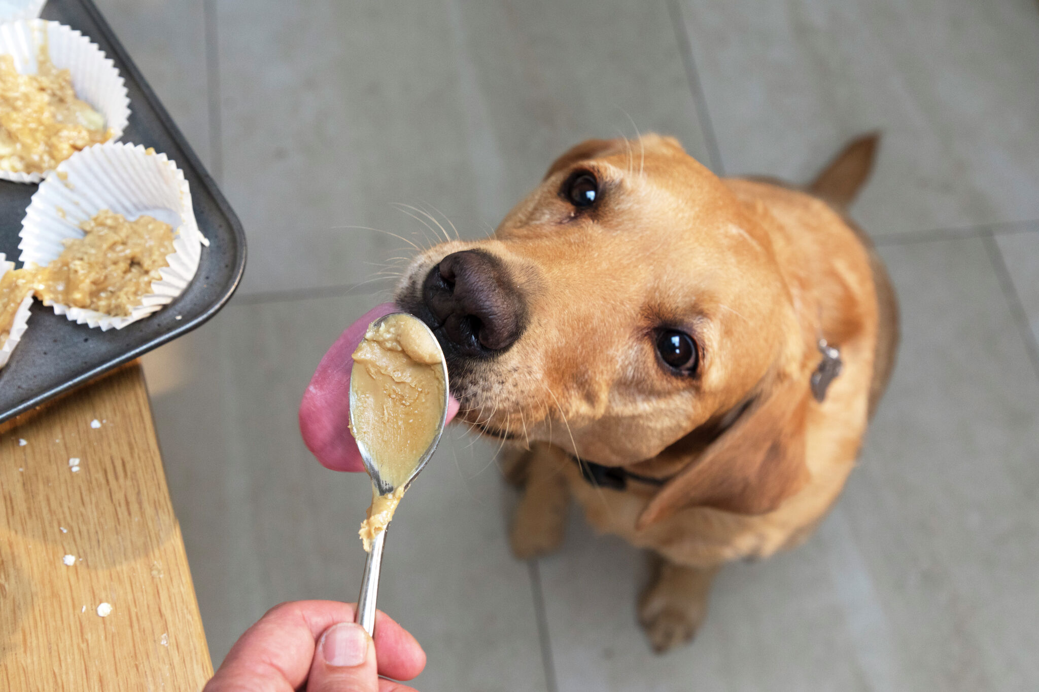 How much peanut butter can a hot sale puppy eat