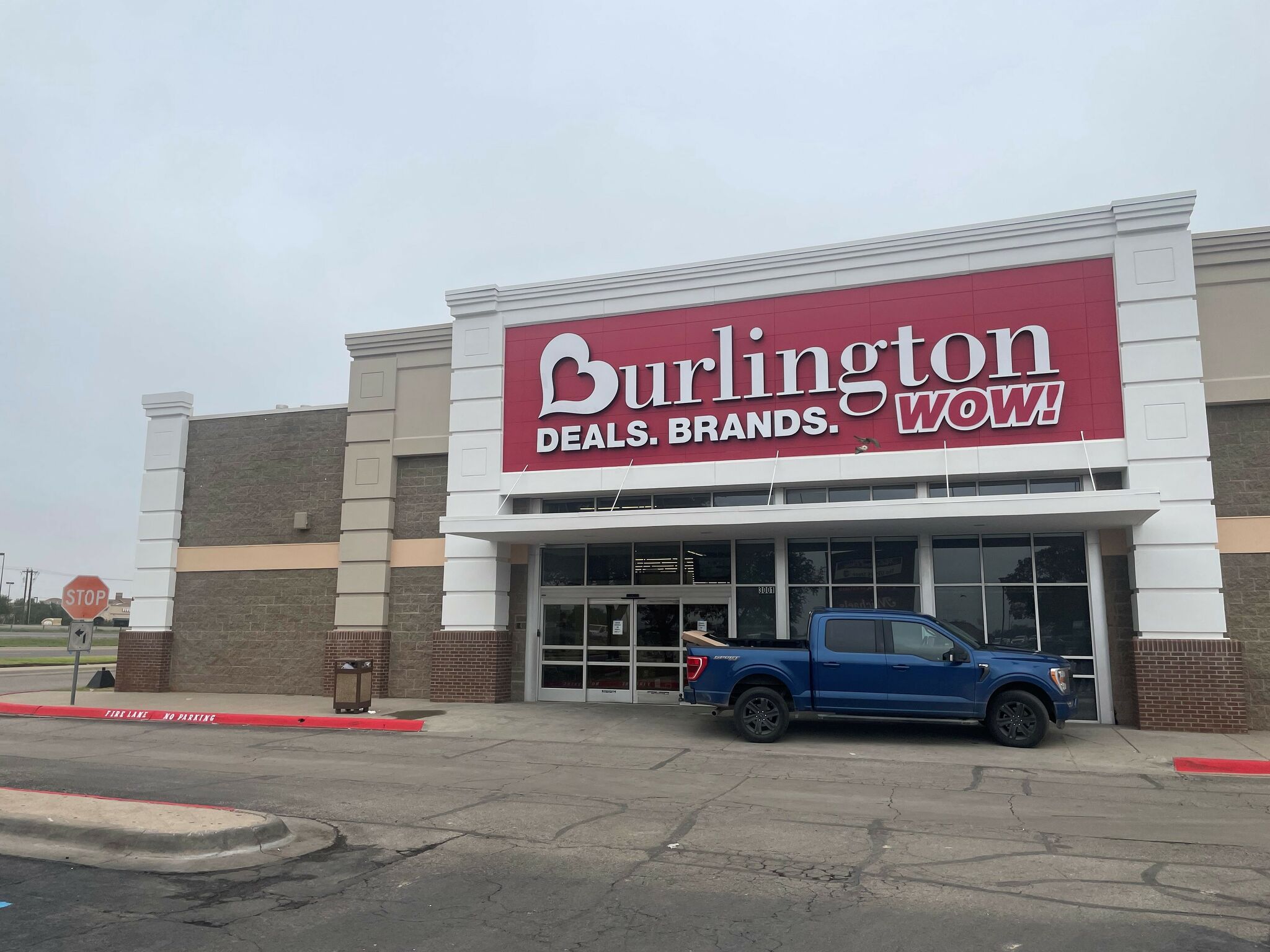 Burlington coat 2025 factory dog beds