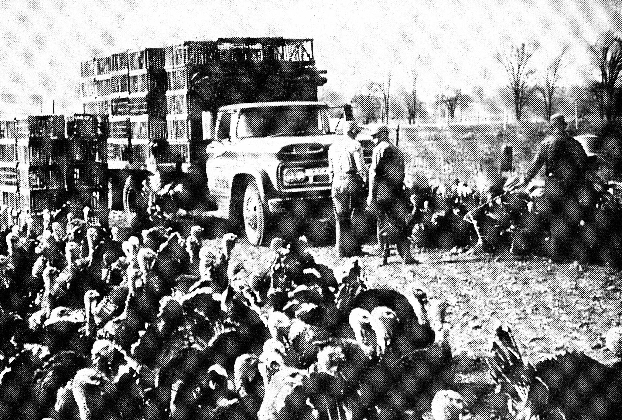 3-manistee-students-included-in-michigan-state-college-music-scene