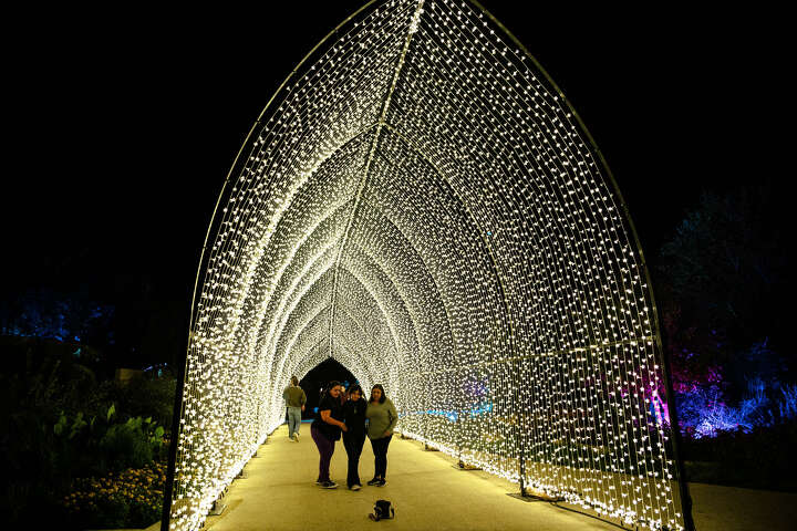 Things to know about Lightscape at San Antonio Botanical Garden