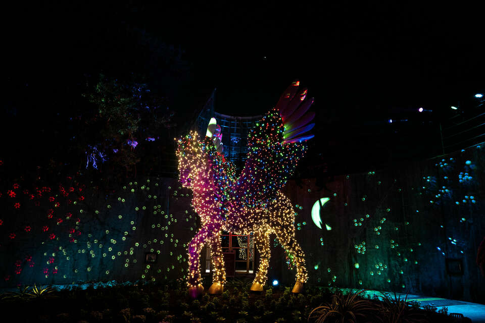 Things to know about Lightscape at San Antonio Botanical Garden
