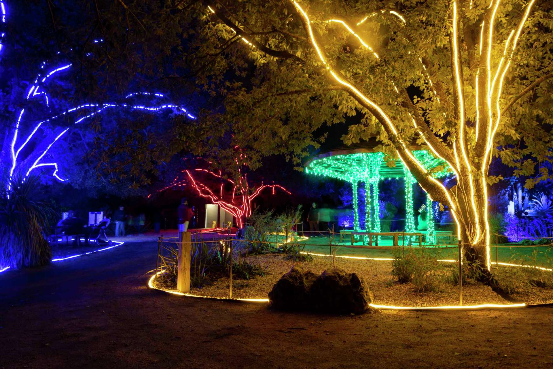 San Antonio Botanical Garden thrives after spinning off from city